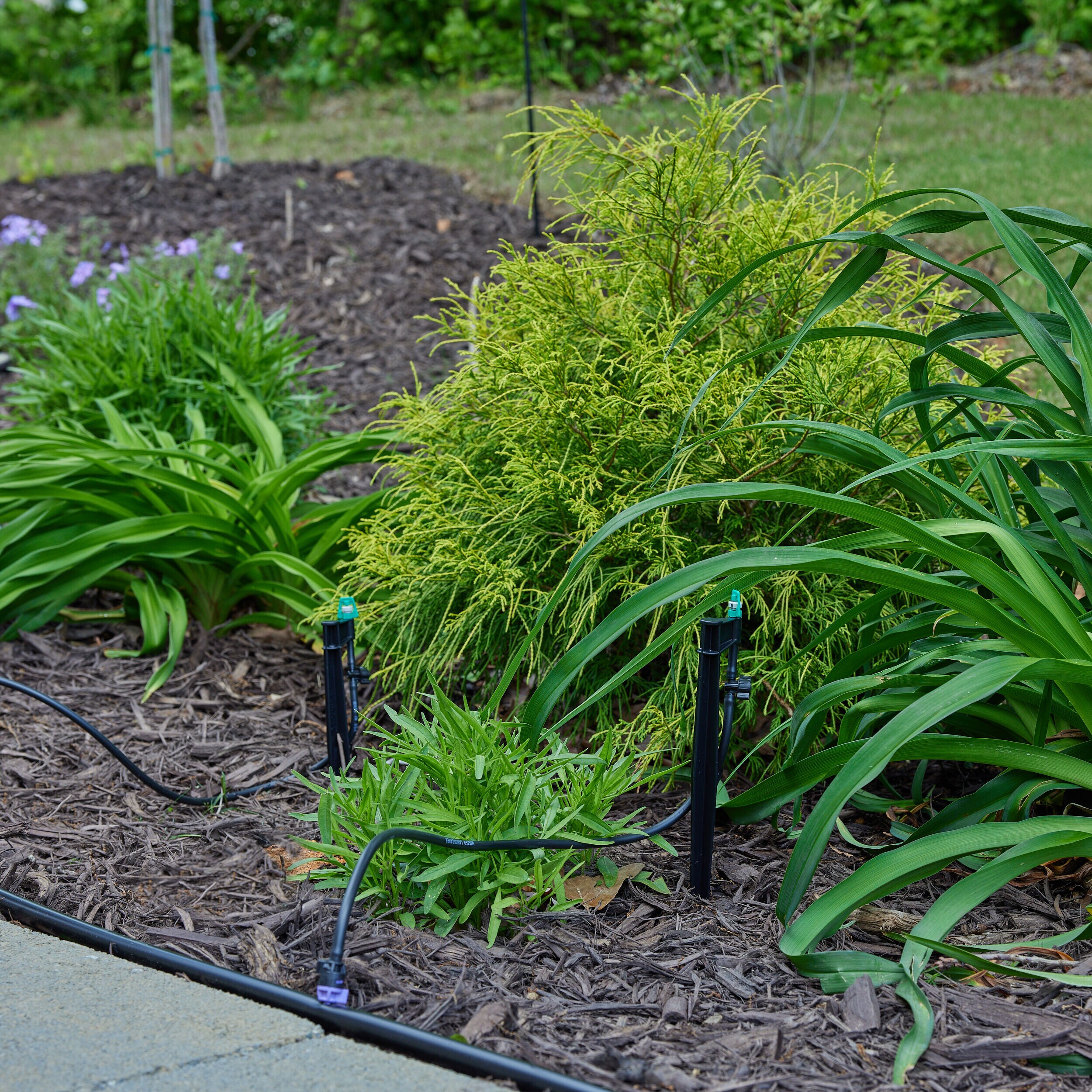 Mister Landscaper MLM-15 Drip-Irrigation-Water-Emitters - View #7