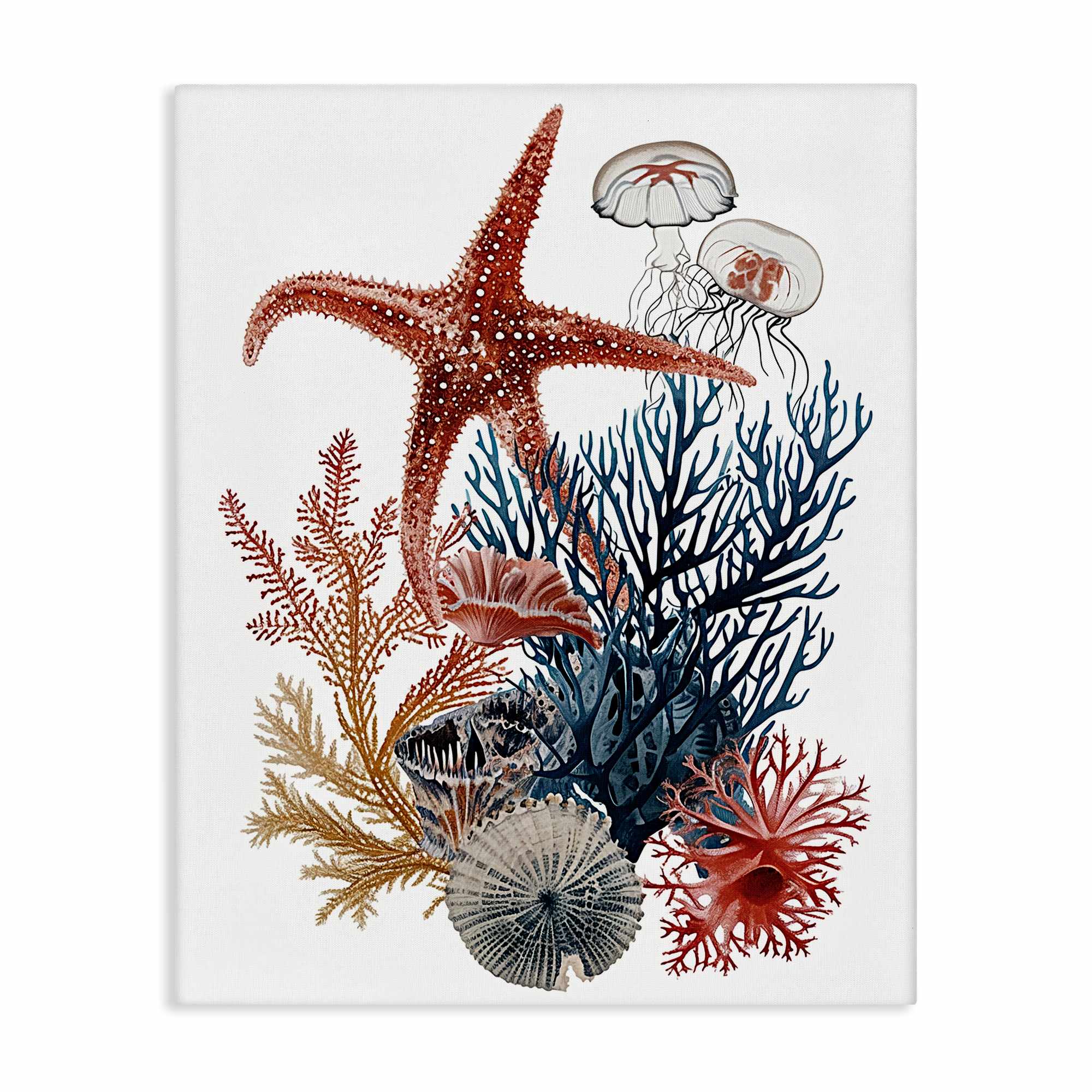 Stupell Industries BS-975-CN-36X48 Natural Aquatic Sea Creatures Canvas Wall Art By Ramona Murdock 36 x 48