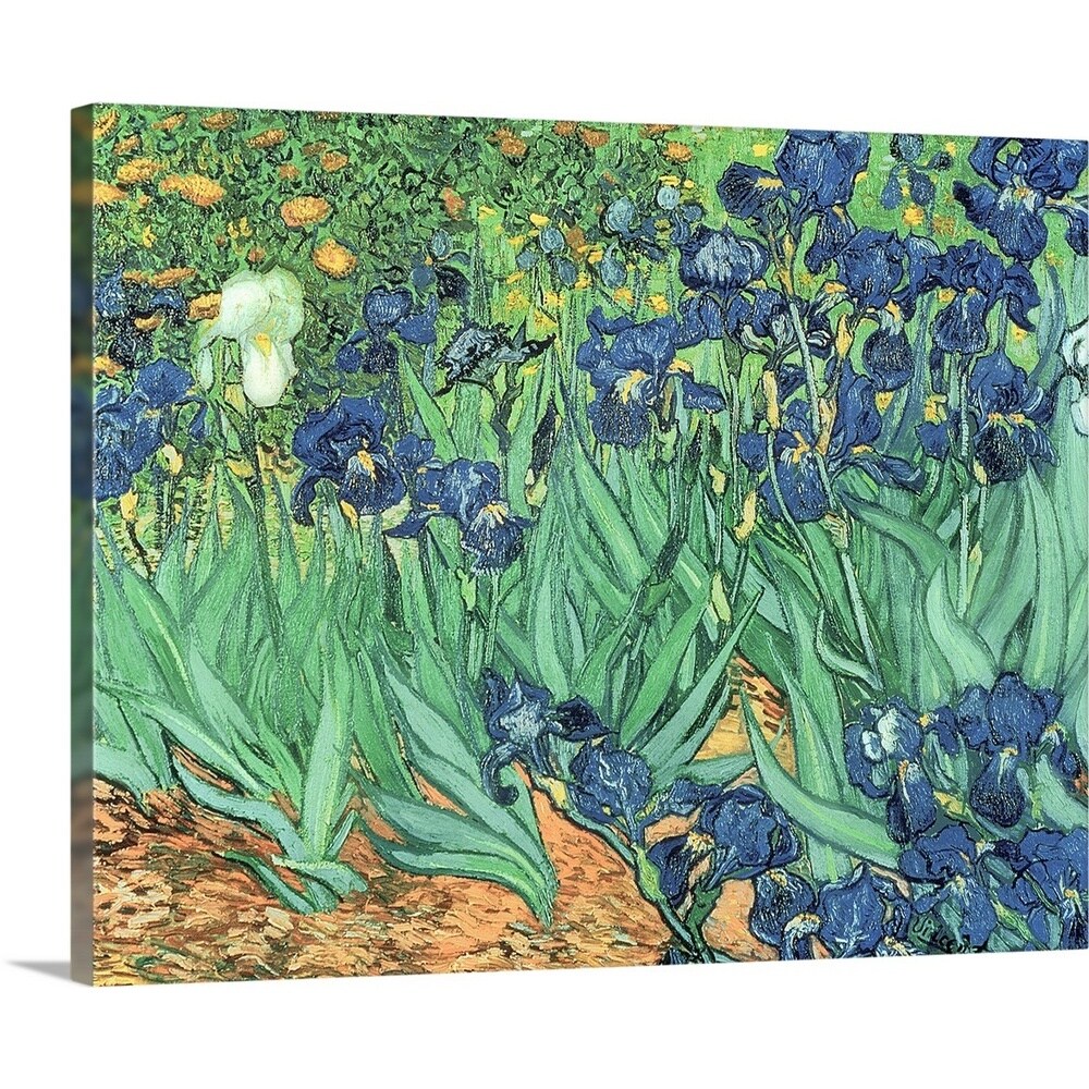 GreatBigCanvas BAL40070-24-20X16 Irises, 1889 Bridgeman Art Library 16-in H x 20-in W Abstract Print on Canvas