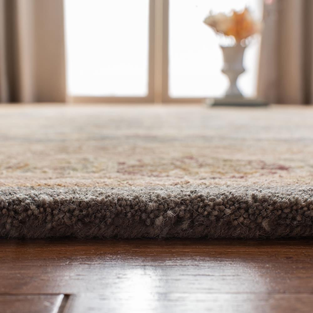 Safavieh AN549B-6R rugs - View #6
