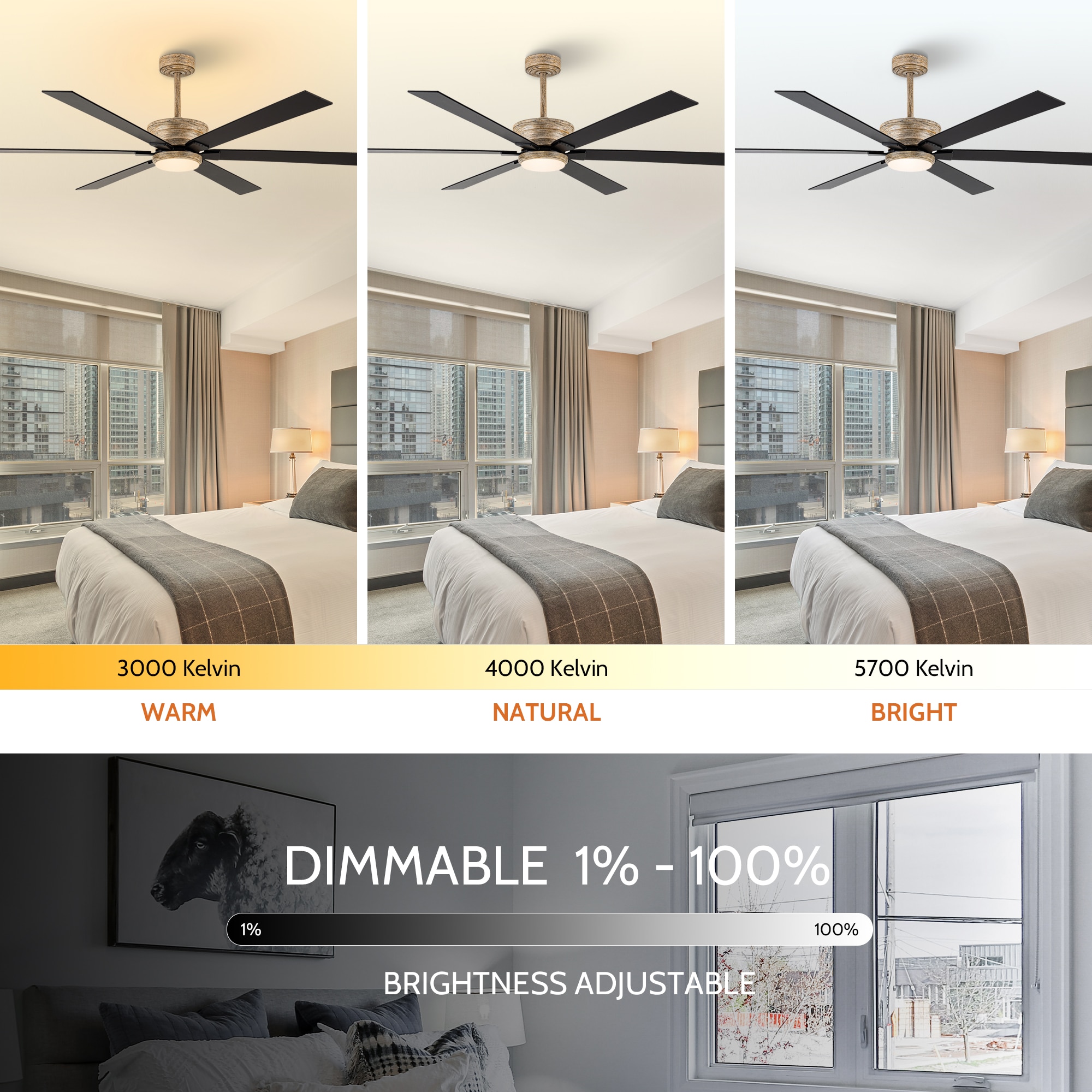 Parrot Uncle F8260110V Ceiling-Fans - View #5