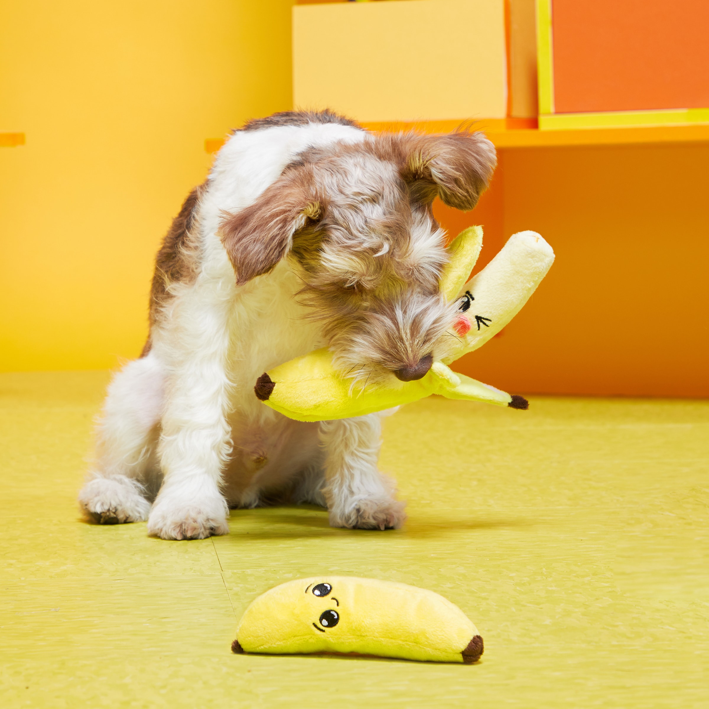 BARK 706589 Dog-Toys - View #2