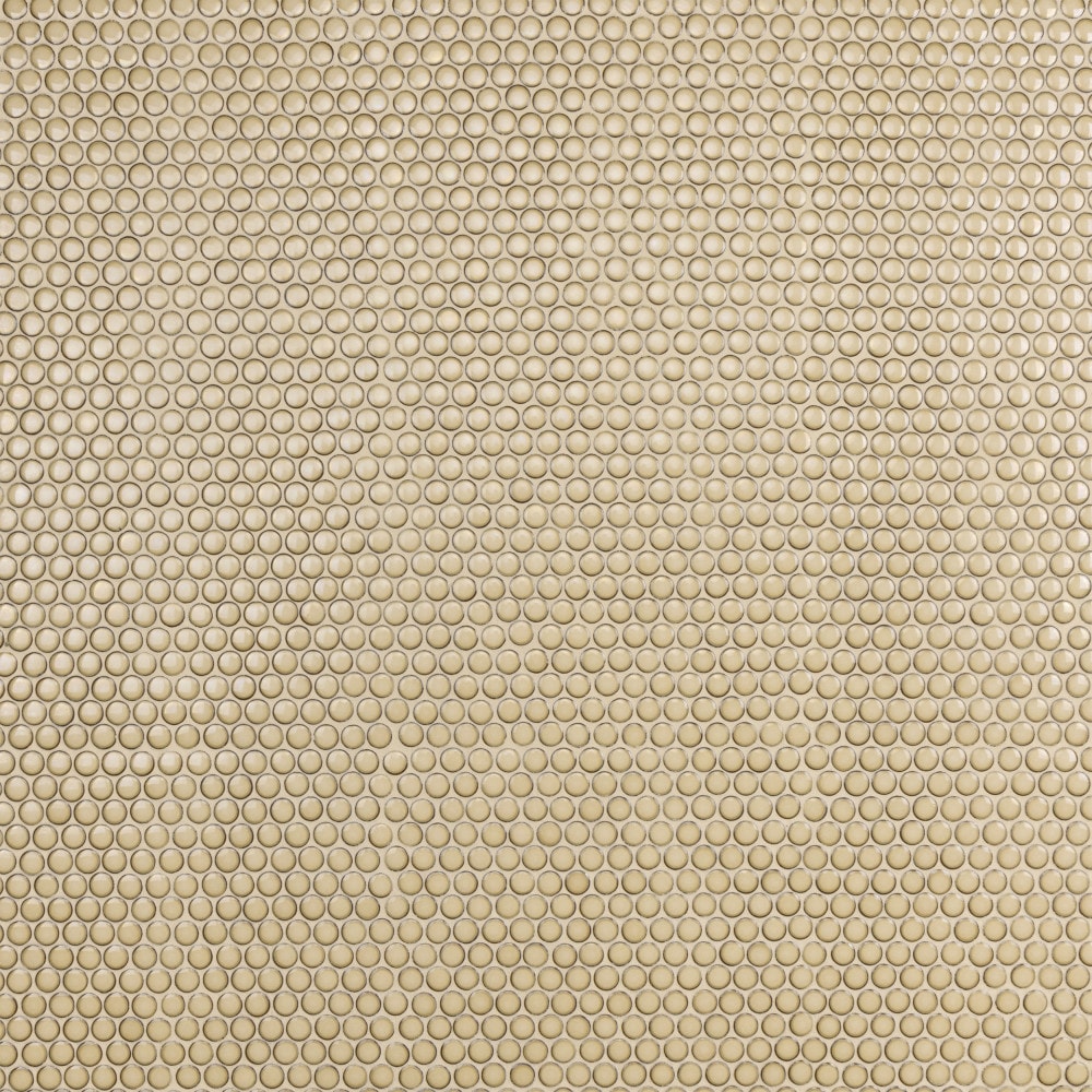 Affinity Tile FKOMPR73 Hudson Penny Caffe 12-in x 13-in Glossy Porcelain Stone Look Penny Round Mosaic Floor and Wall Tile (10.7-sq. ft/ Carton)