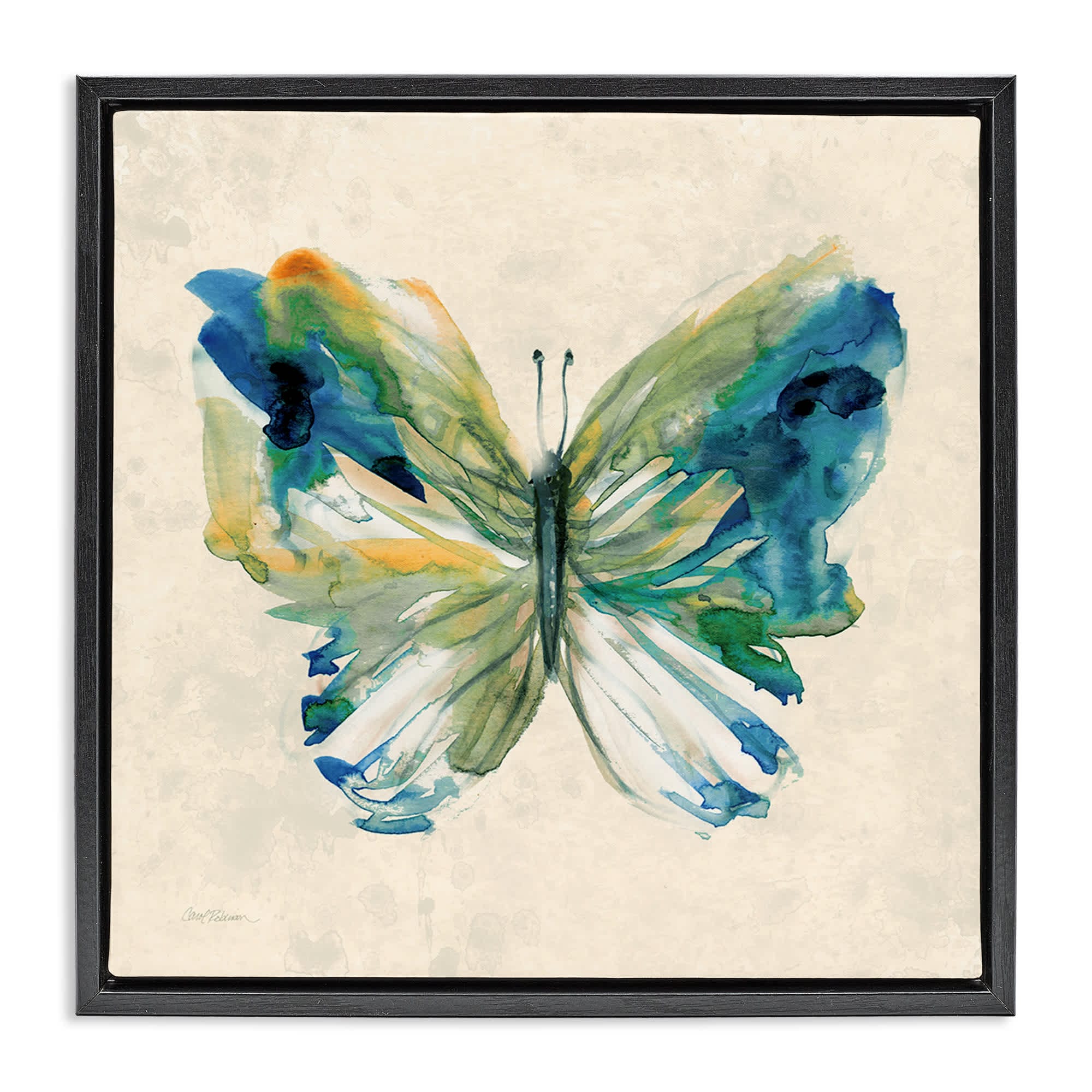 Stupell Industries BS-247-FFB-24X24 Vivid Abstract Butterfly Wings Floating Frame design by Carol Robinson