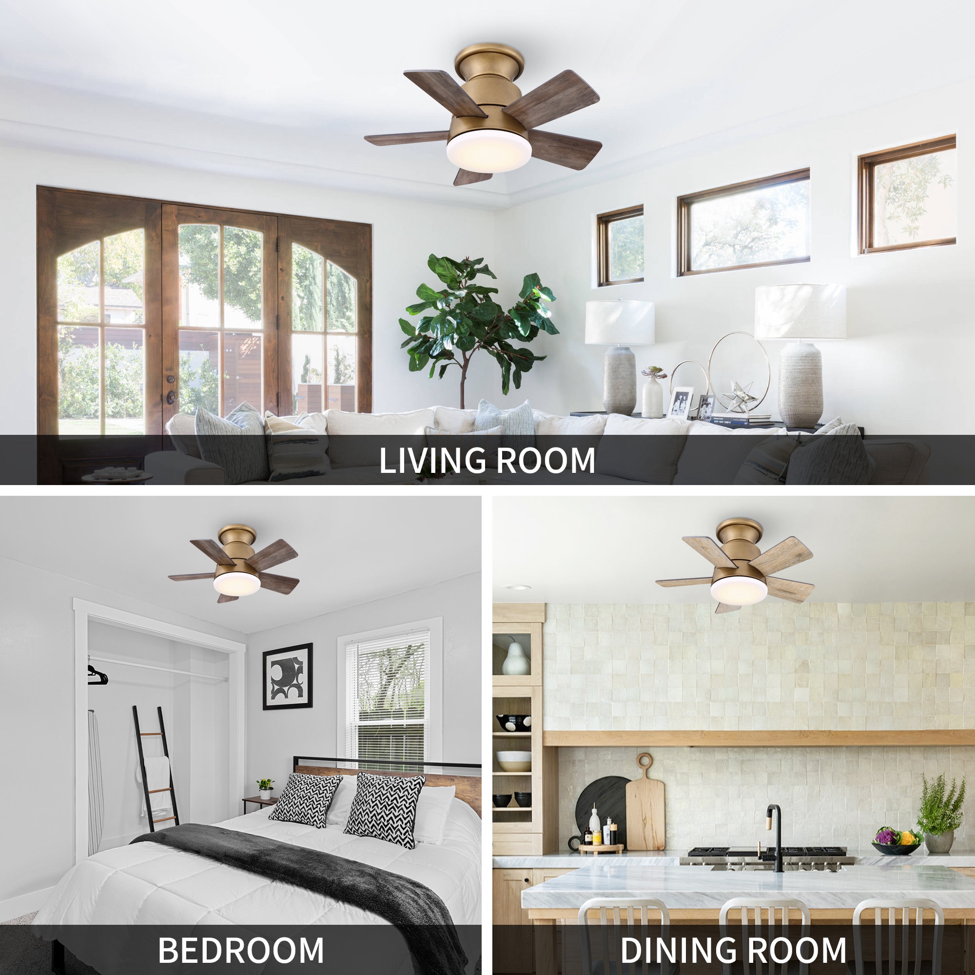 Parrot Uncle F8283NBR110V Ceiling-Fans - View #6