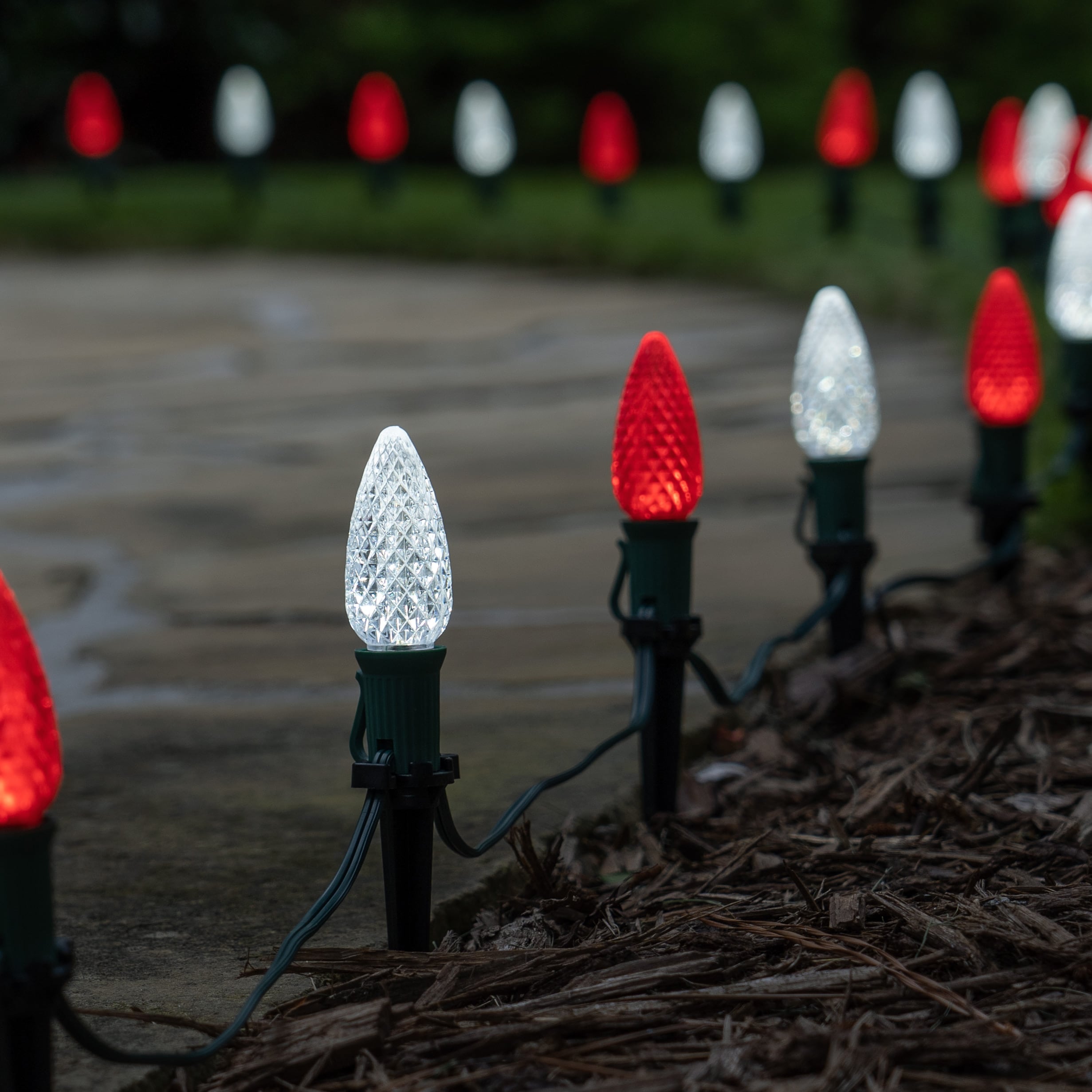 white pathway christmas lights