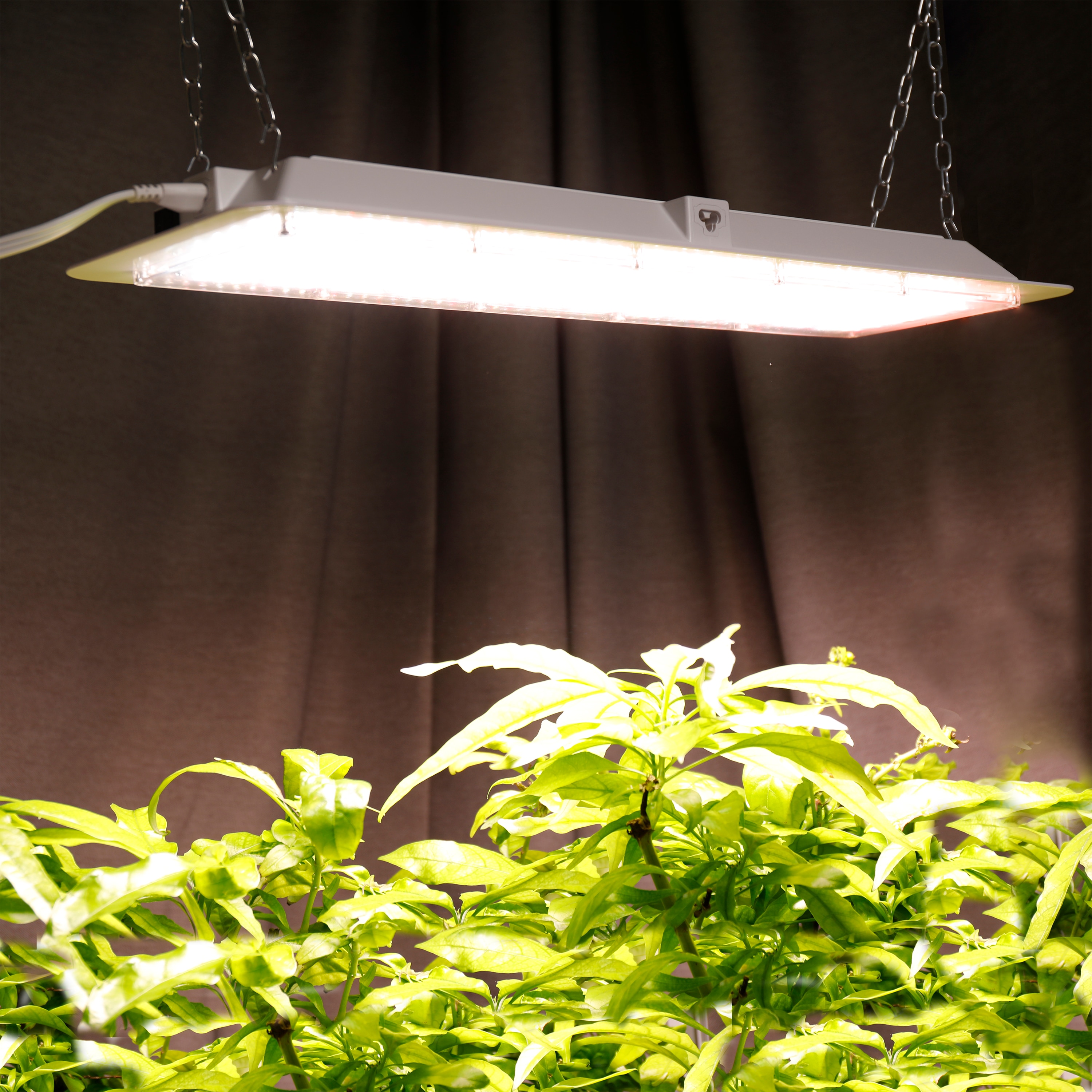 Honeywell GW391021Q110 Grow-Lights - View #3