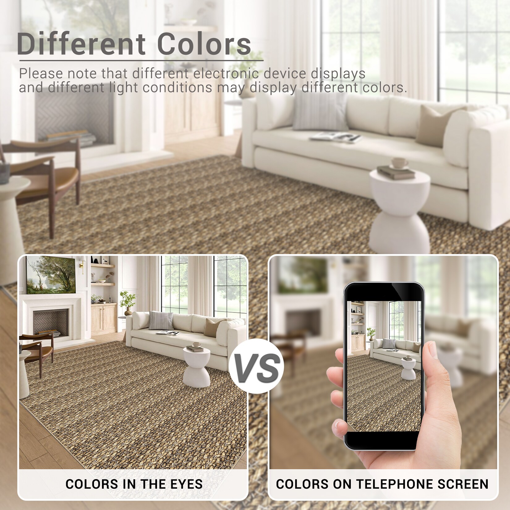 Assile ASRUG26819036J34W rugs - View #7