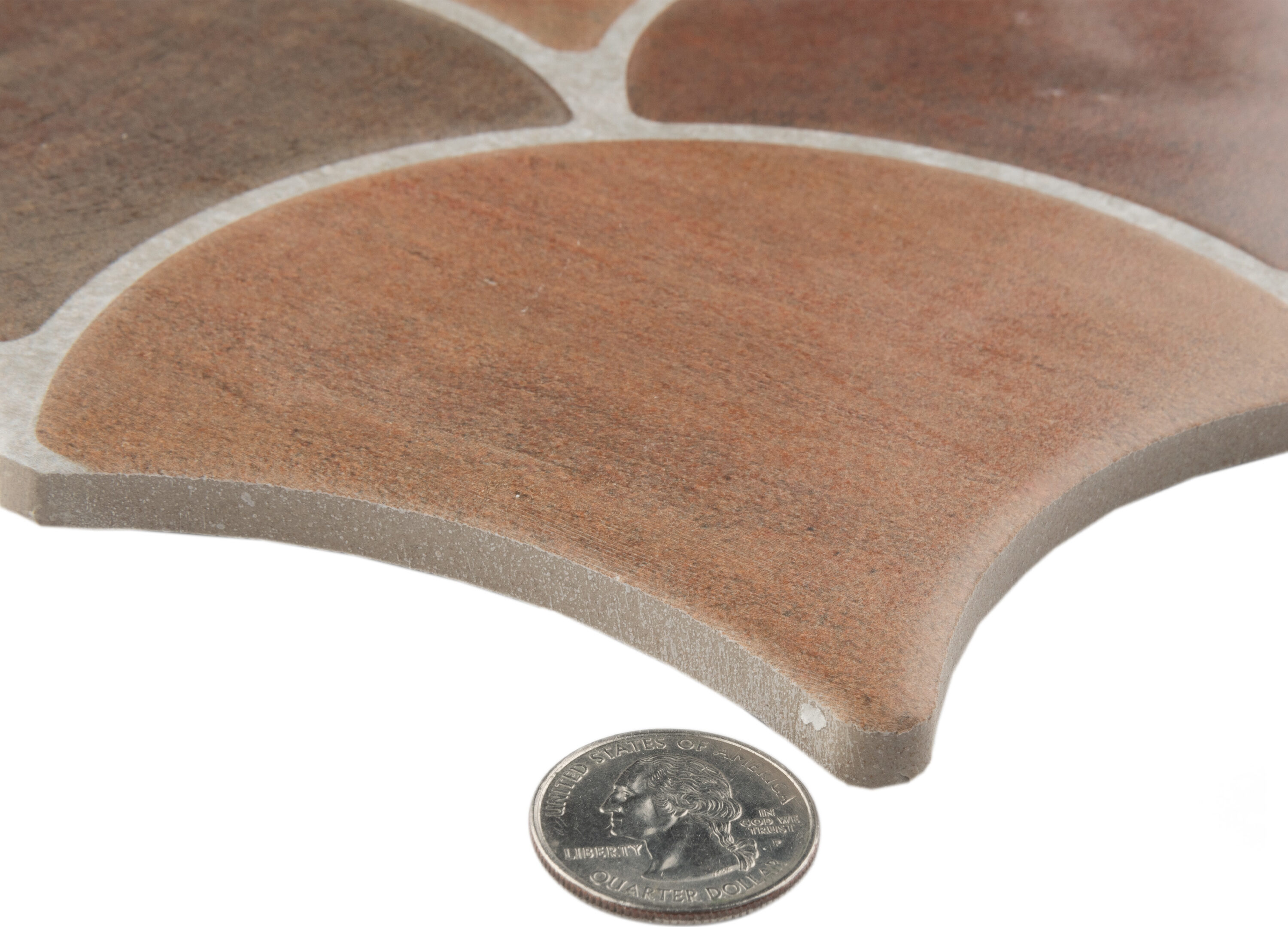 Affinity Tile S1FRL12SCCT Tile-Samples - View #4