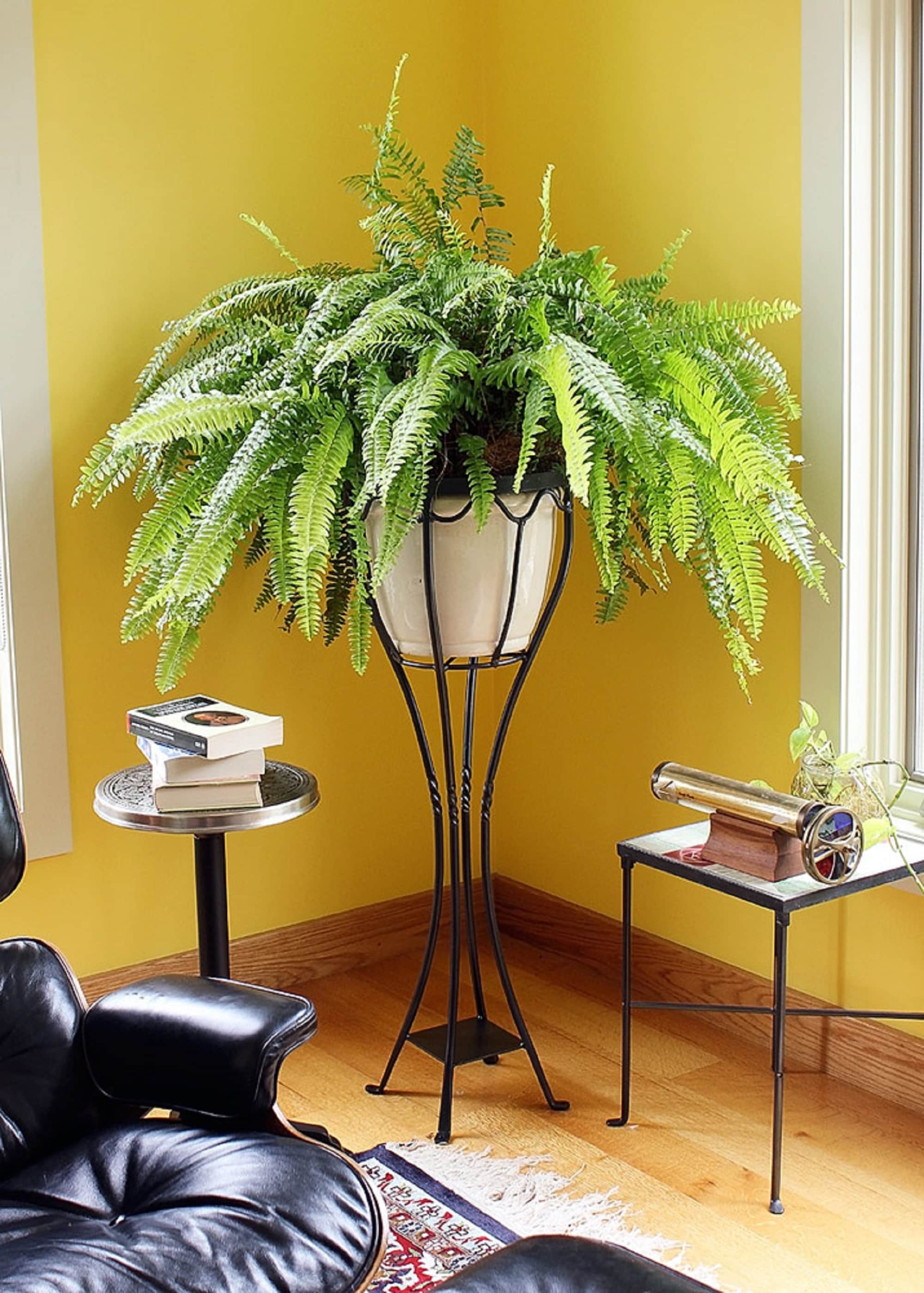 Graphite Wrought Iron Tall Verandah Plant Stand