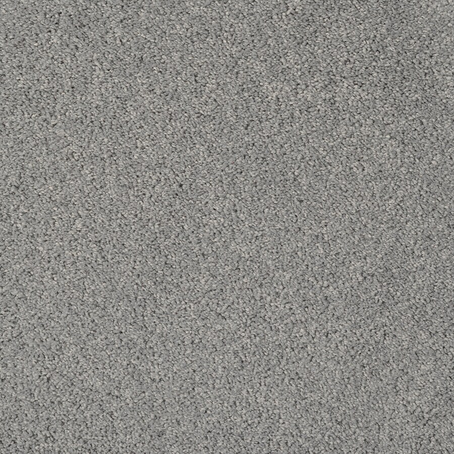 STAINMASTER S663378HOUR GLA-RPET (Sample) TruSoft Best of Class Hour Glass Plush Carpet