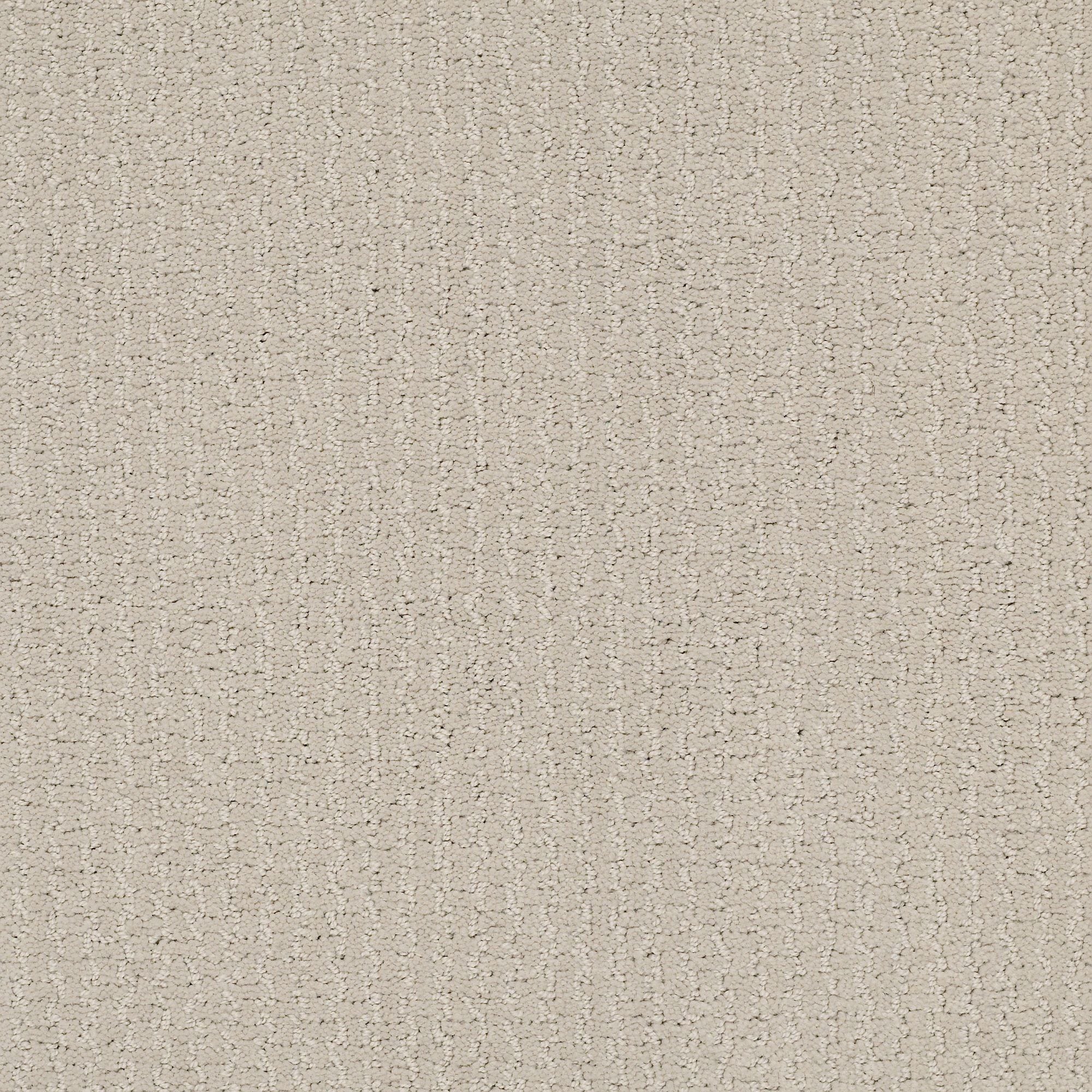 STAINMASTER PetProtect 7L85400109 Summer Nights Beachcomber Off-white 39-oz sq yard Nylon Pattern Indoor Carpet