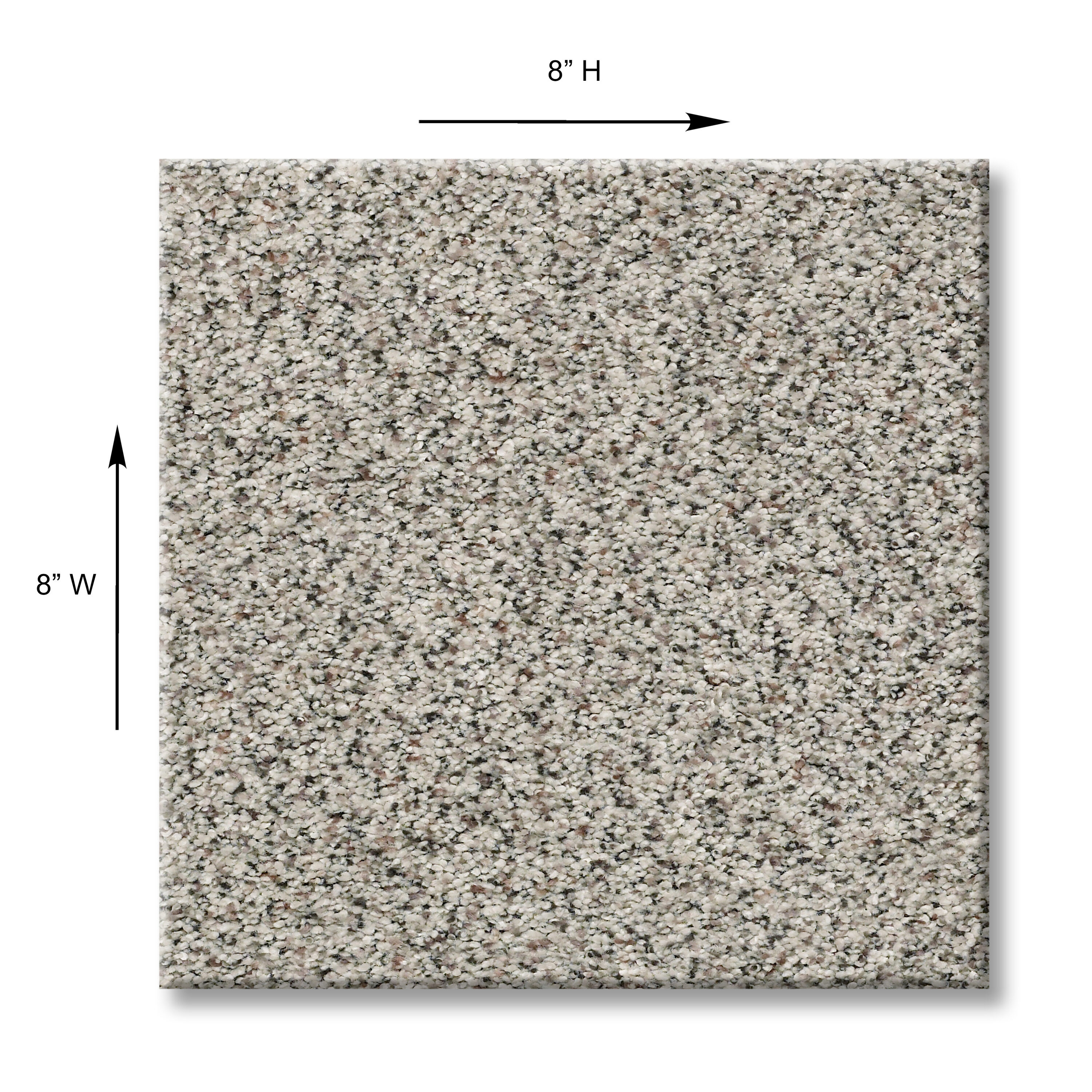 STAINMASTER 7L788-561A-SAMP Carpet-Samples - View #5