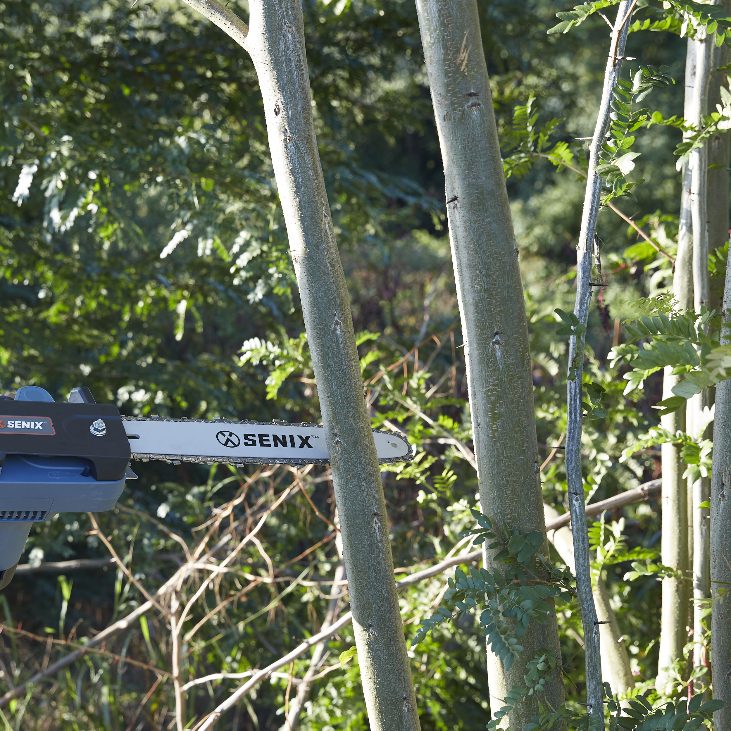 SENIX CSE10-L Cordless-Chainsaw - View #7