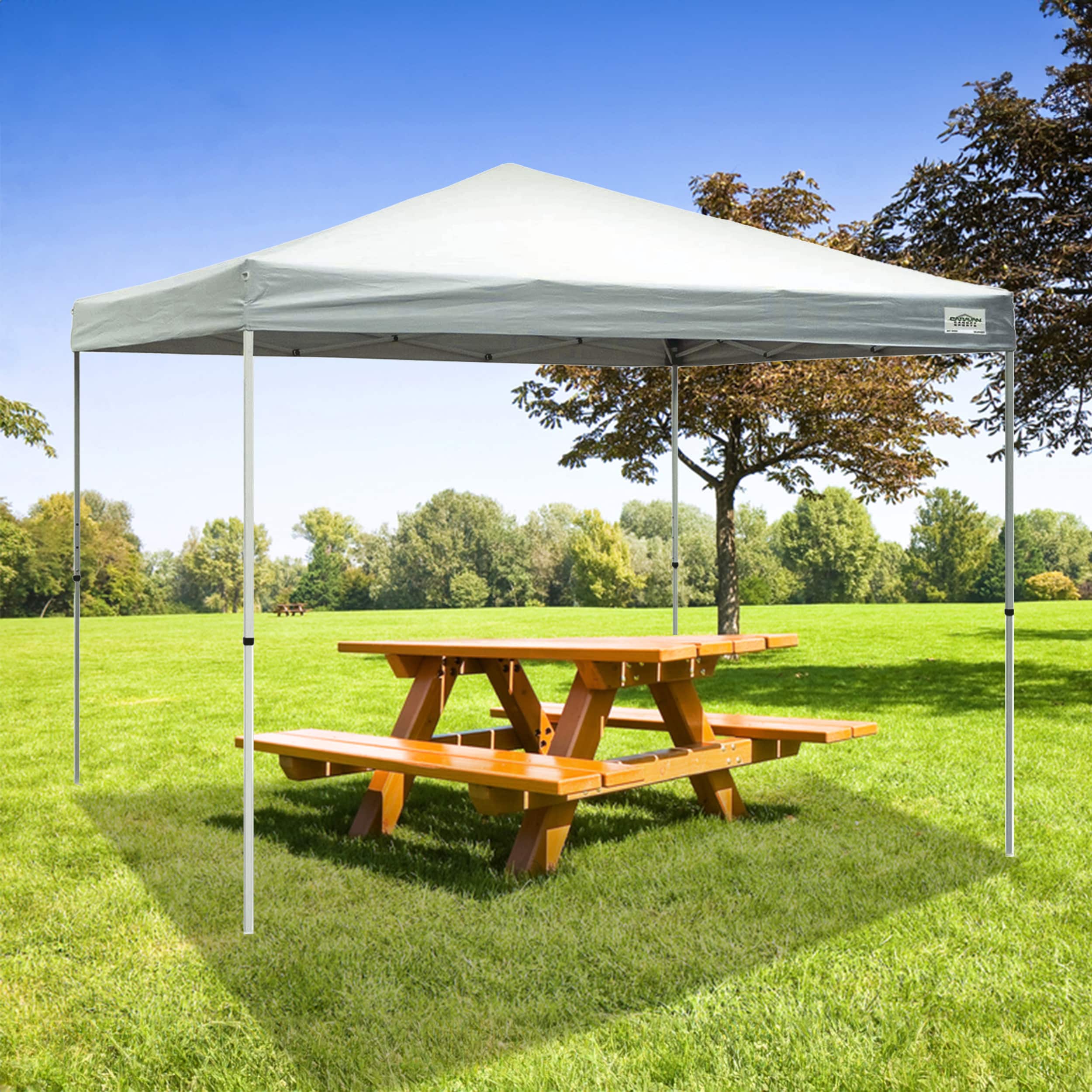 Caravan Canopy 99280 tents - View #5