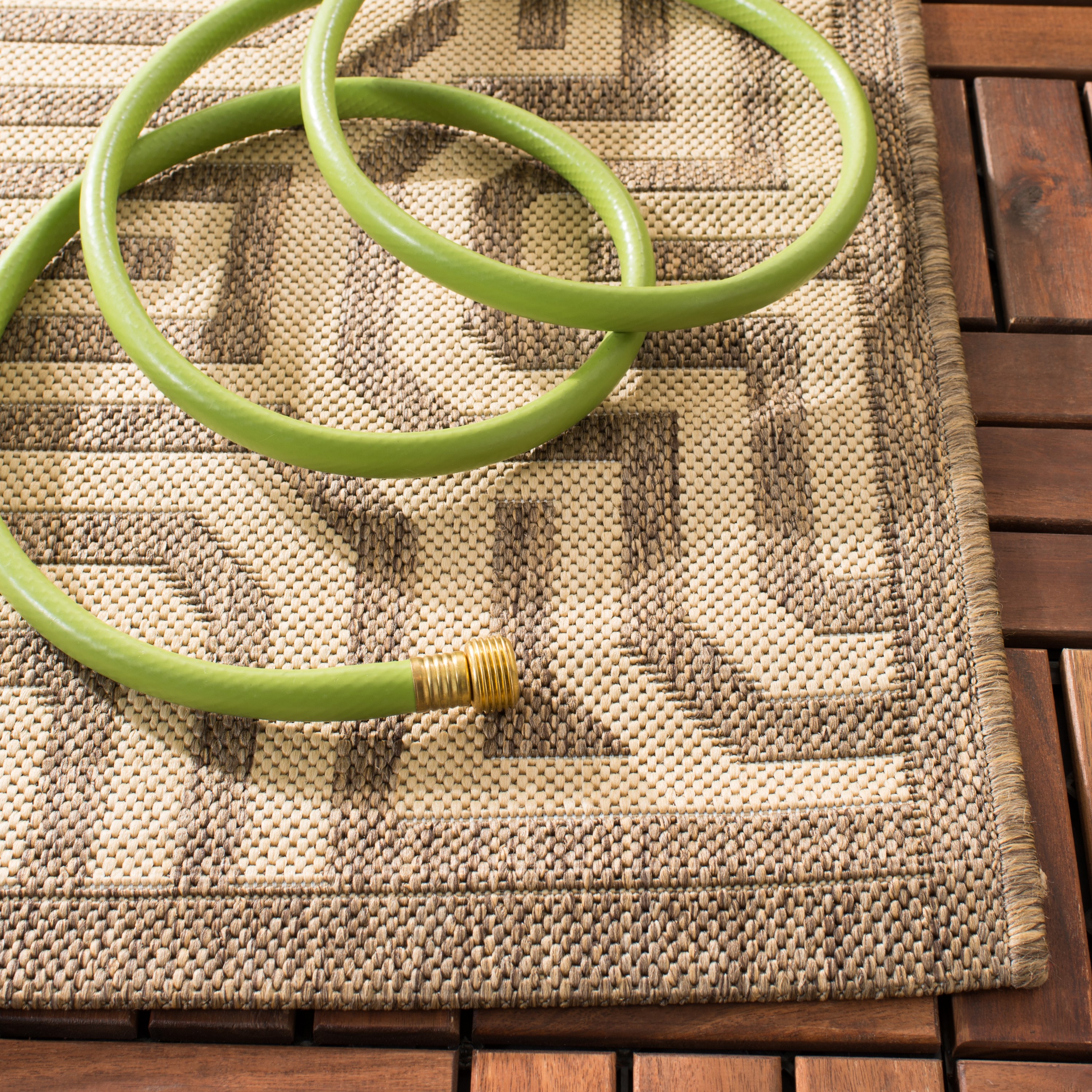 Safavieh CY2962-3009-5 rugs - View #3