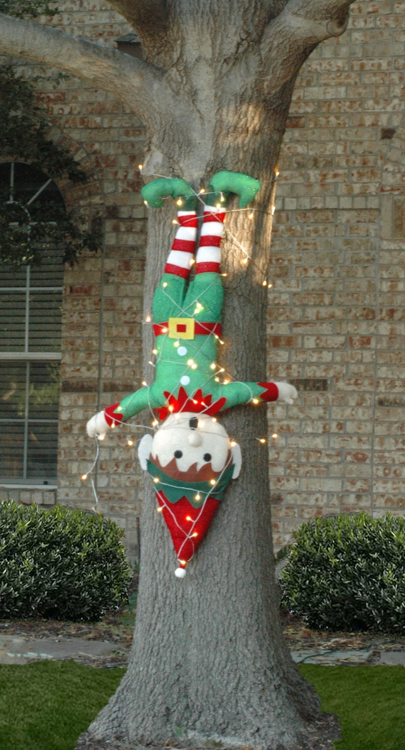 Haute Decor ELB0101 Outdoor-Christmas-Decor - View #5