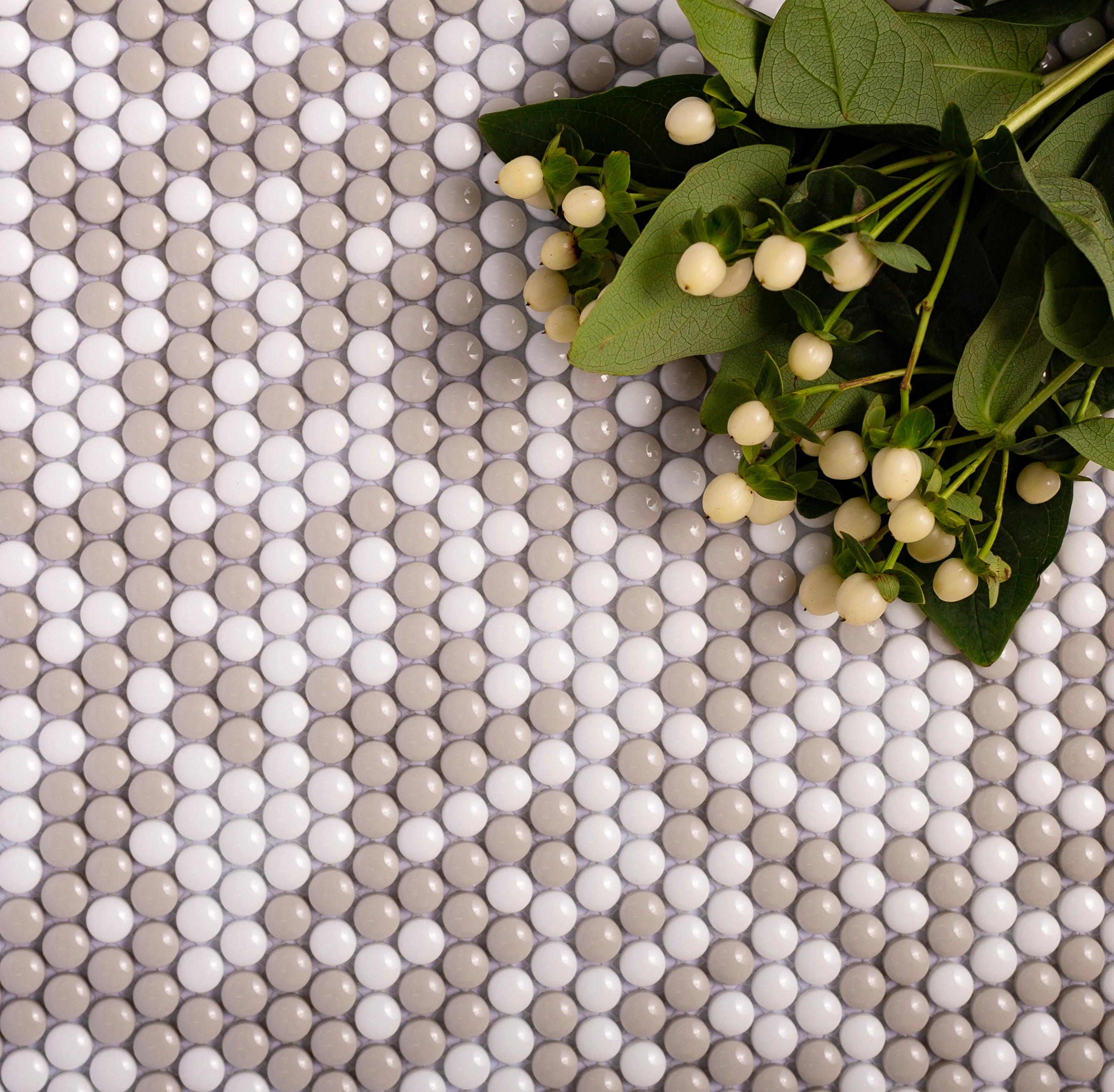 Apollo Tile APLVRE8811ASMPL Tile-Samples - View #5