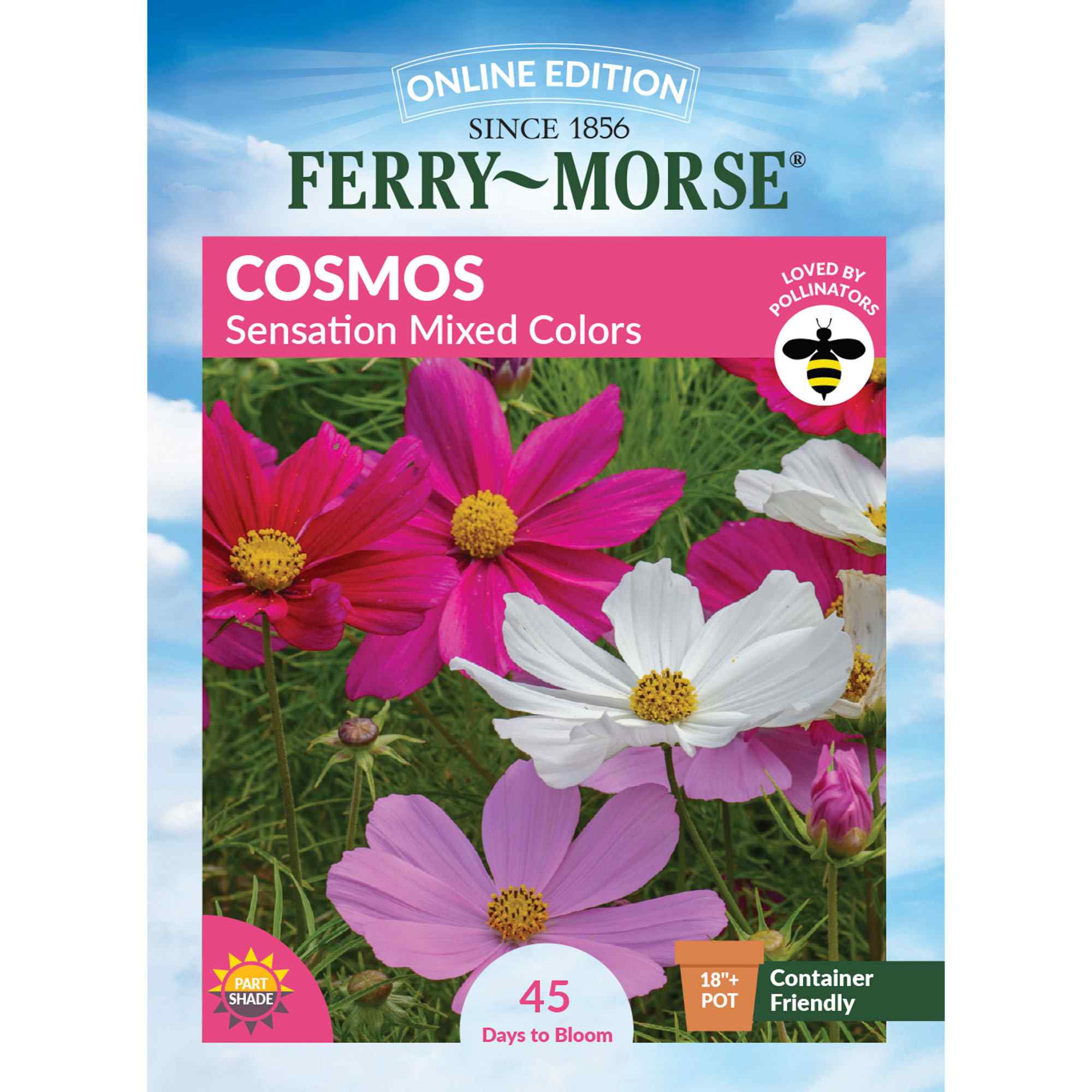 Perennial Wildflower Seed Mix - Bulk Wildflower Seeds for