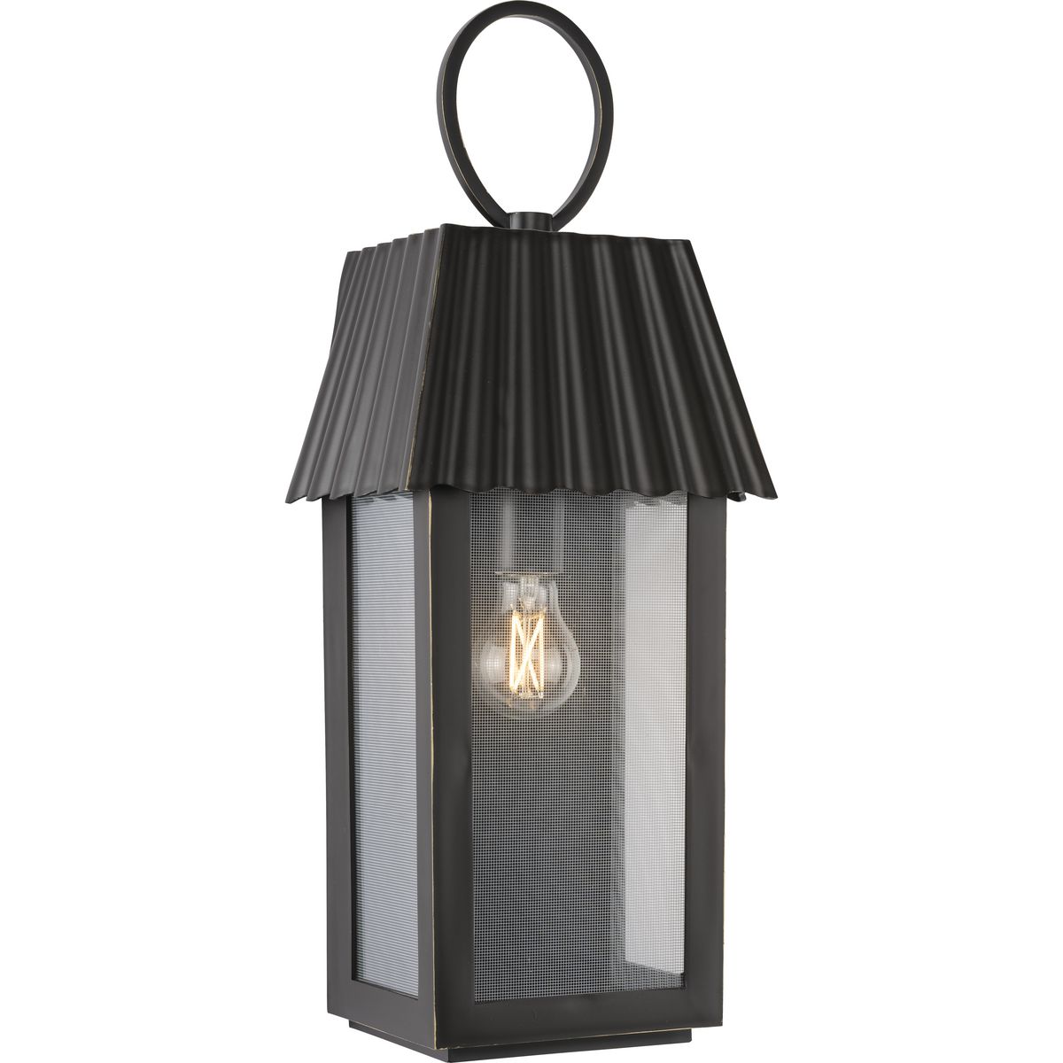 Progress Lighting P560306-108 Point Dume-Hook Pond 1-Light 22.375-in Oil Rubbed Bronze, Outdoor Wall Light