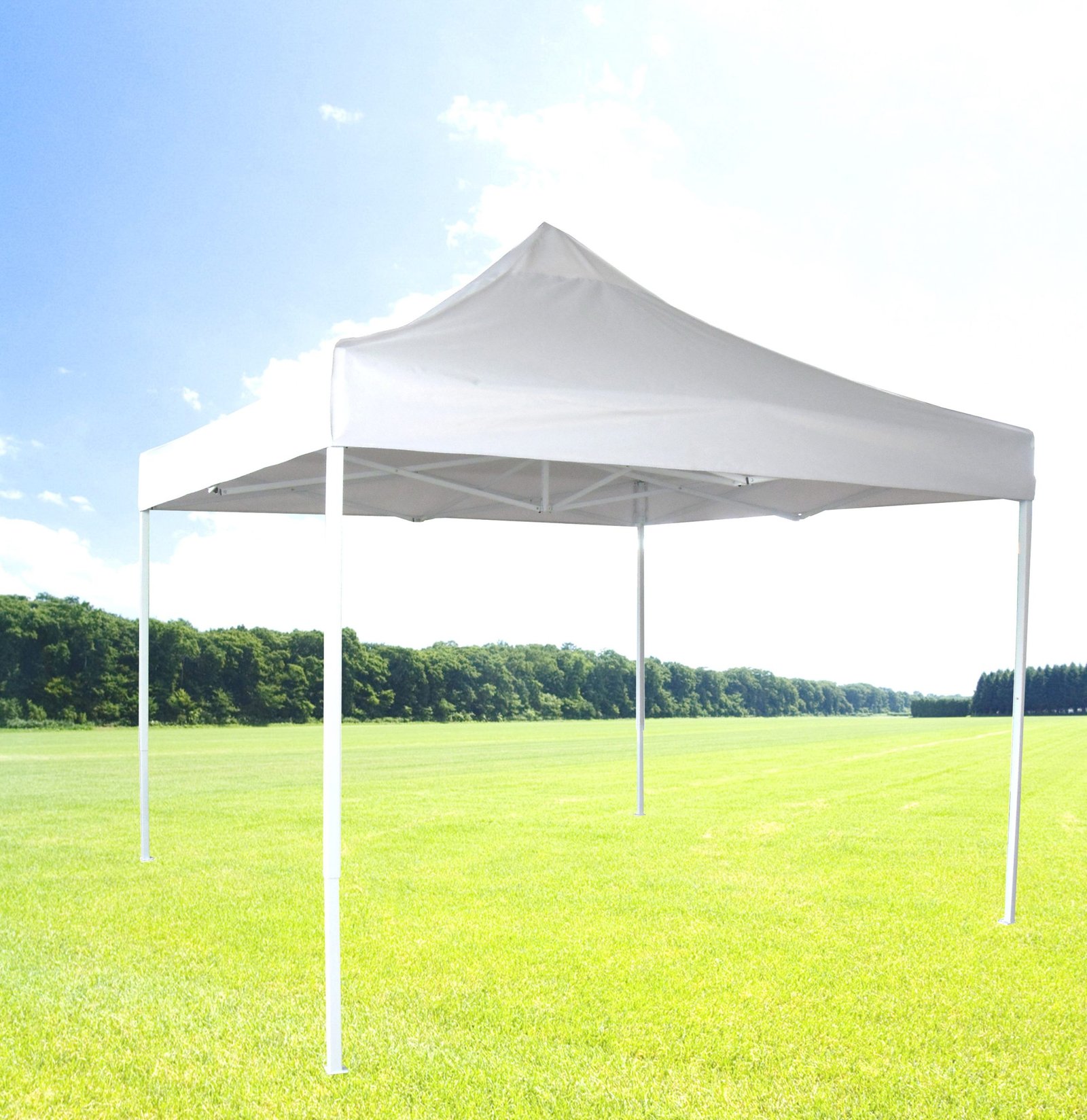 Zenport AGT3M Canopies-Sl - View #2
