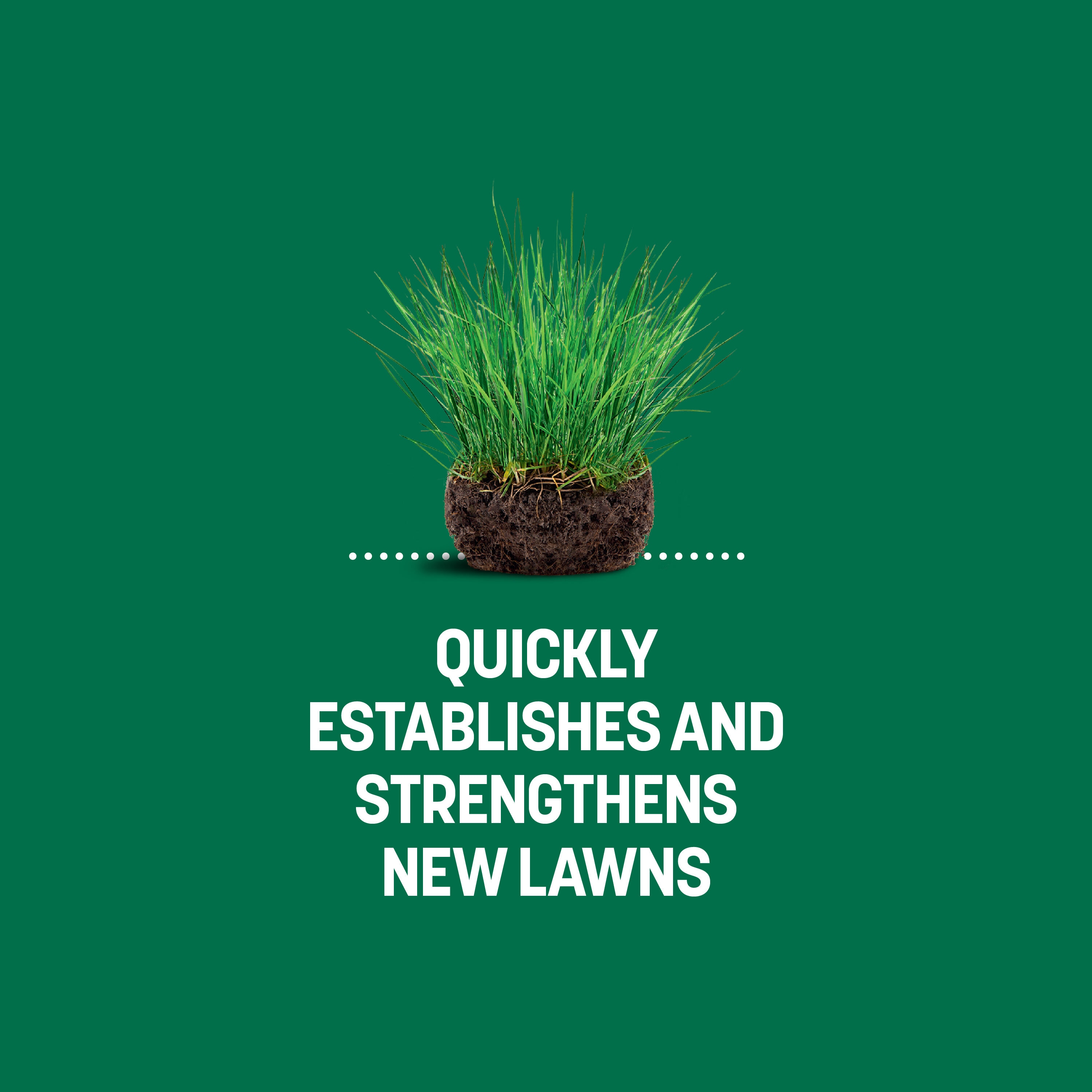 Sta-Green 904751 Lawn-Fertilizer - View #6