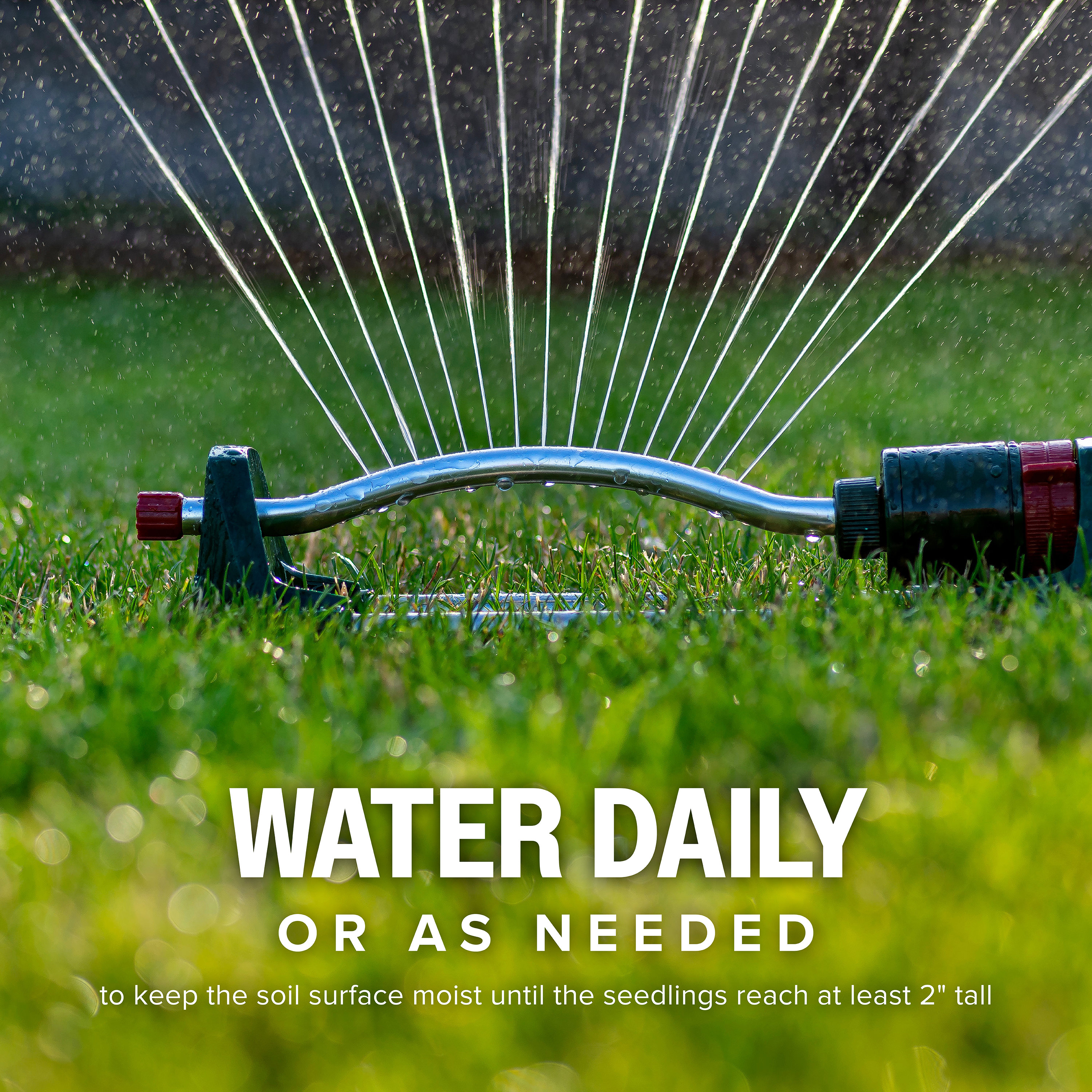 Scotts 18316 Grass-Seed - View #10