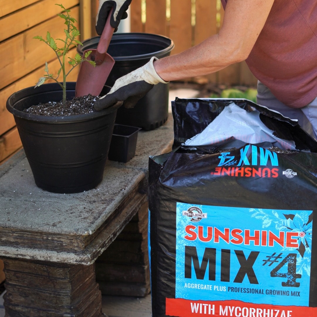 Image of Sunshine® Mix 4 Premium Potting Soil at Lowe's