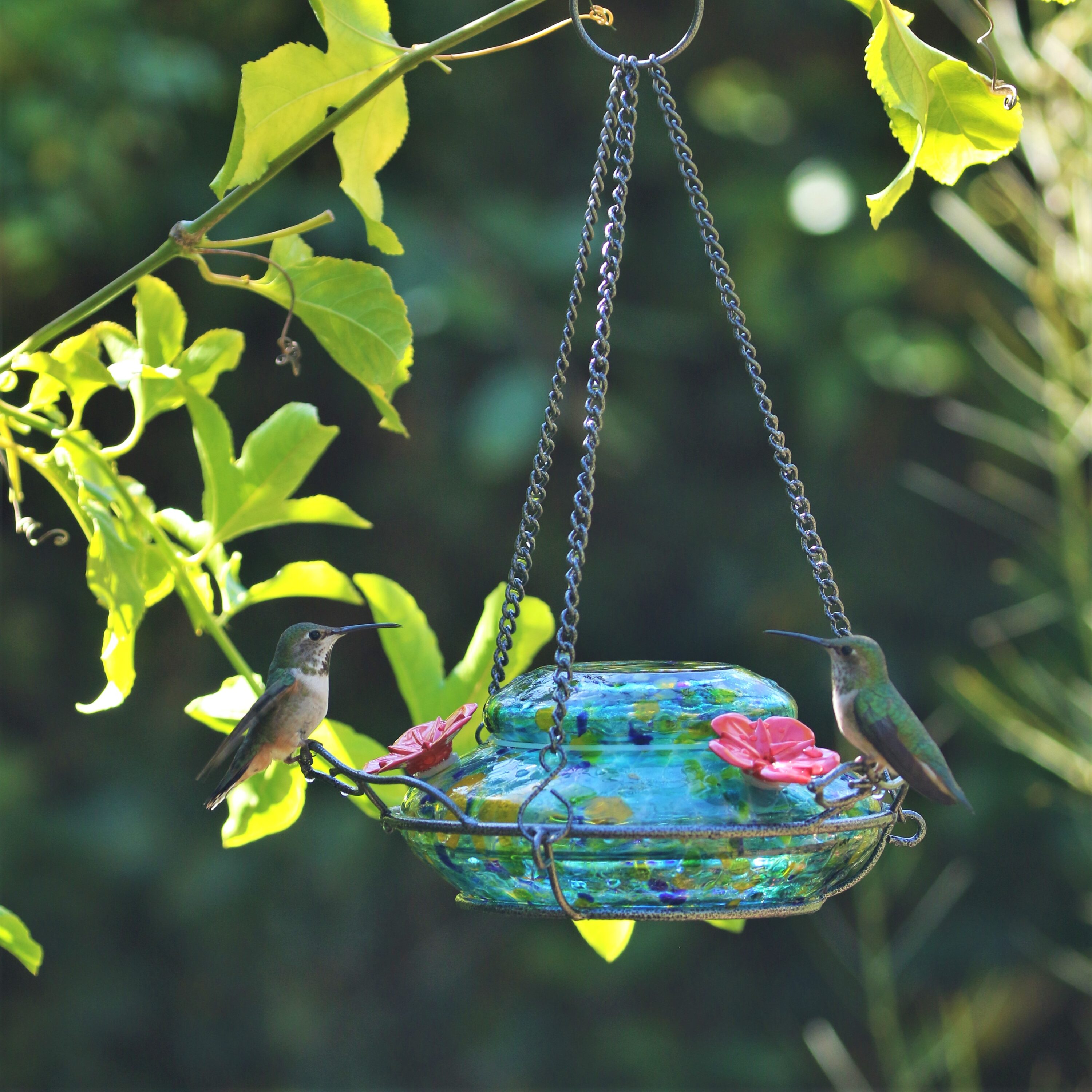 Nature's Way GHF7-CP1 Bird-Feeders - View #6