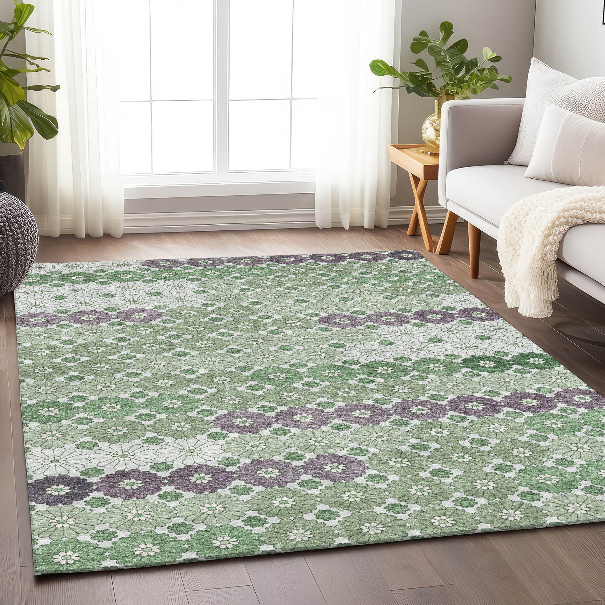 Addison Rugs ACN1678SA9X12 Chantille ACN1678SA 9 x 12 (ft) Loomed Polyester Sage Rectangular Indoor/Outdoor Machine washable Area rug