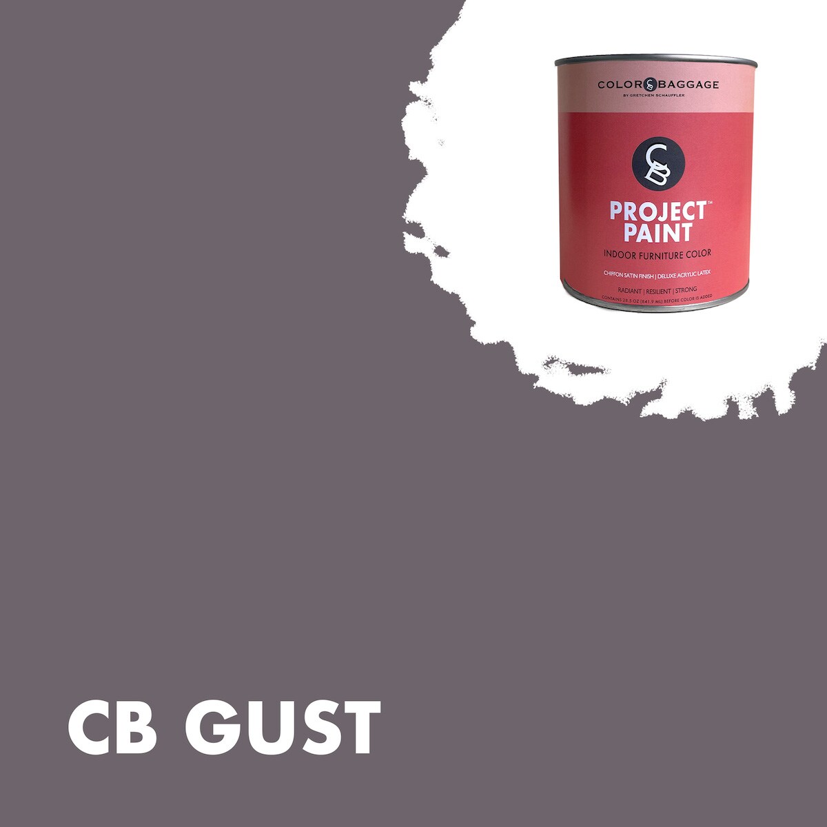 Color Baggage GUST-PIF-SAT-G Project Paint Indoor Satin Gust ( 1-gallon )