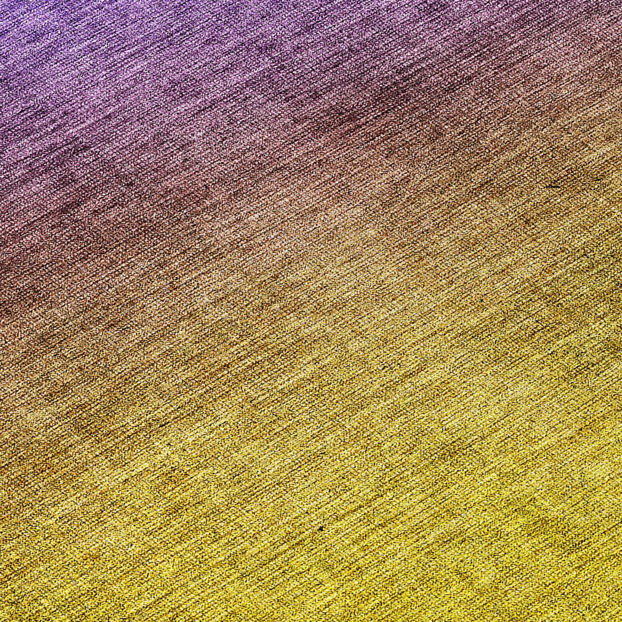 Addison Rugs ACN587PP2X8 rugs - View #3