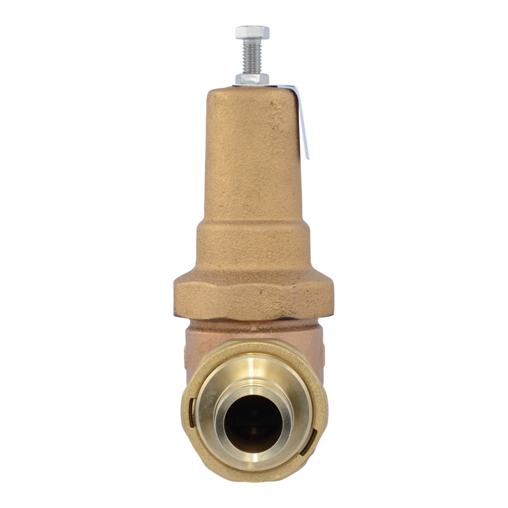 Cash Acme PVA35M-DUEX-60 Pressure-Relief-Valves-Regulators - View #2