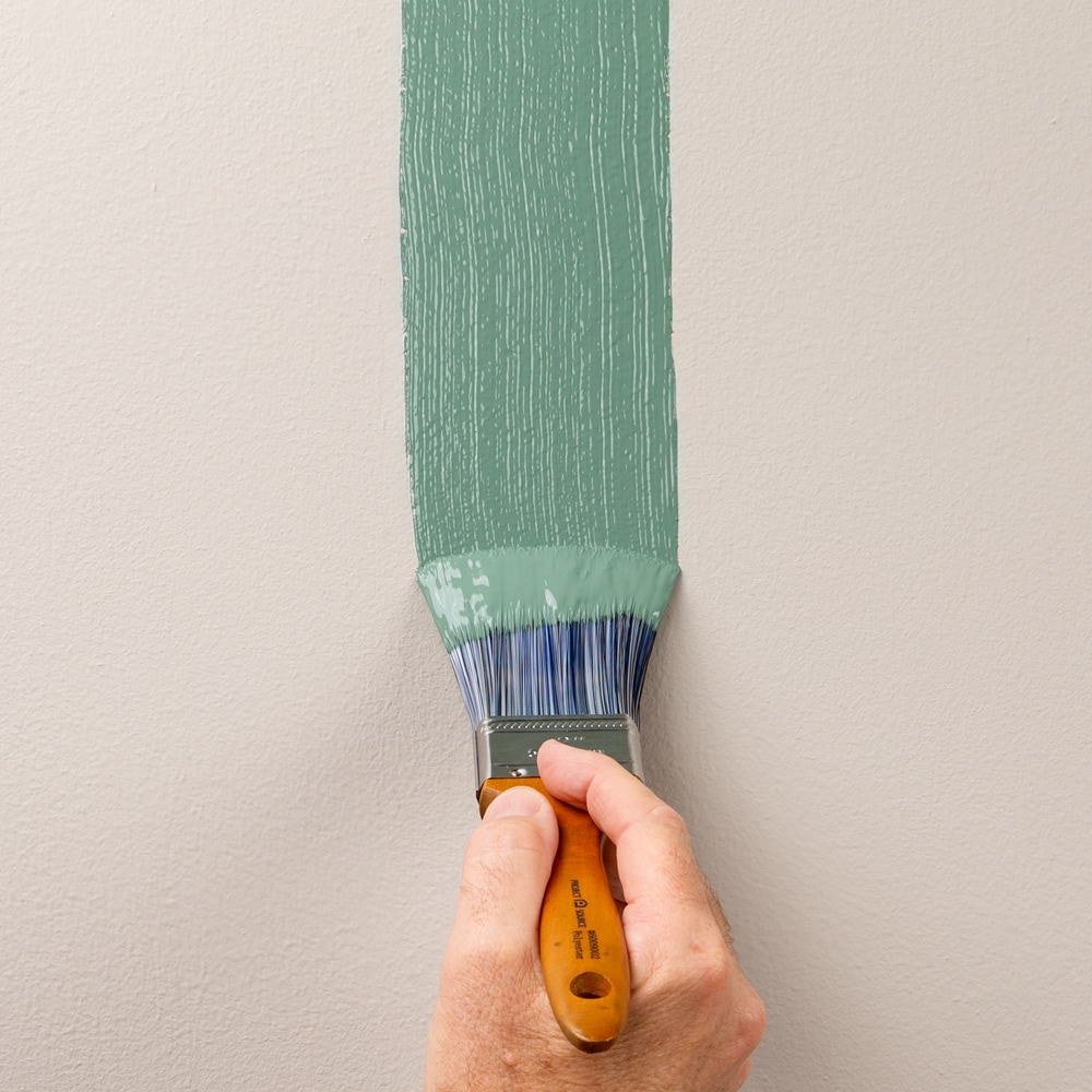 Project Source W000727 Paint-Applicator-Kits - View #6