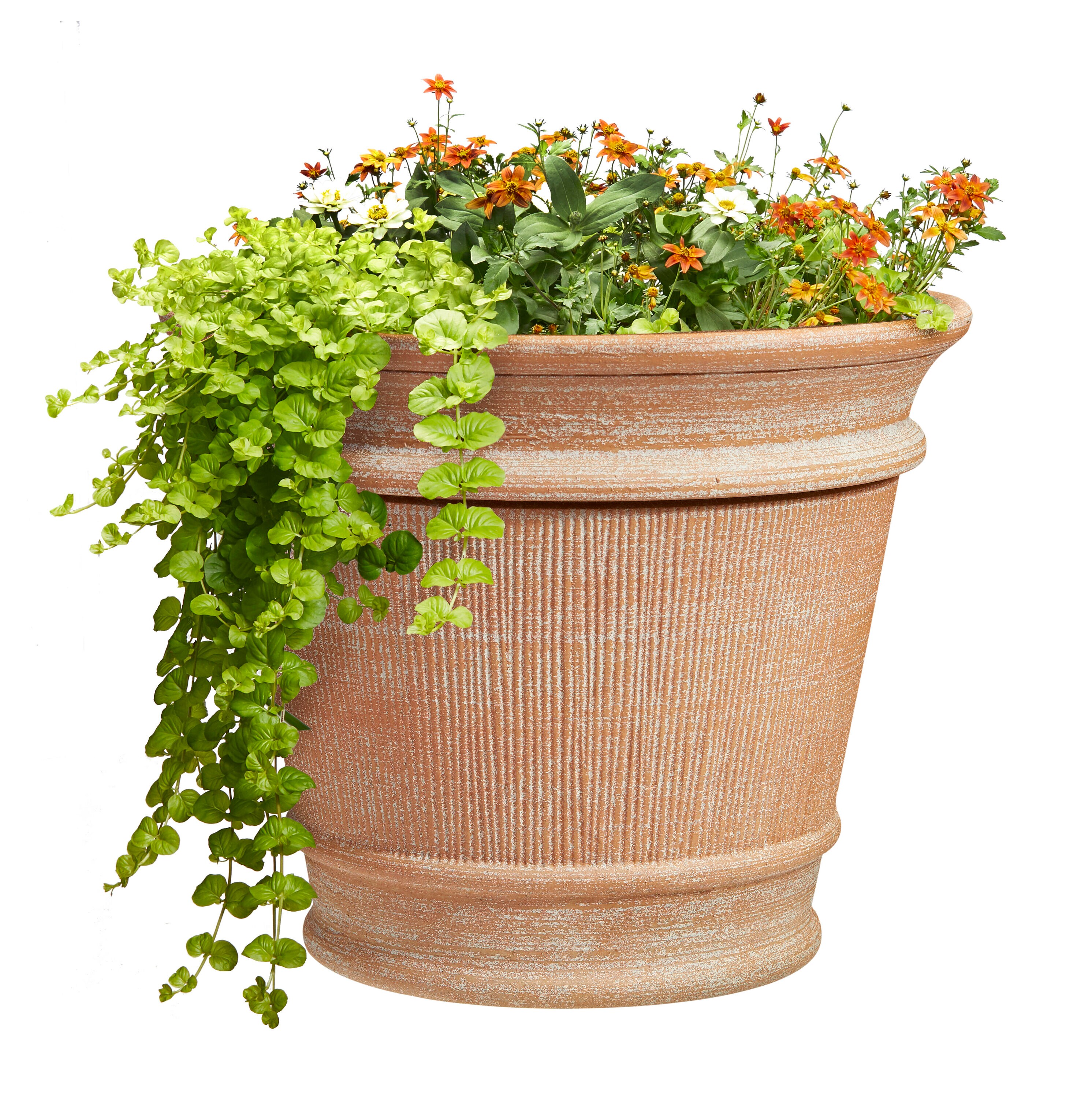 allen + roth US063687 Planter-Window-Box - View #6