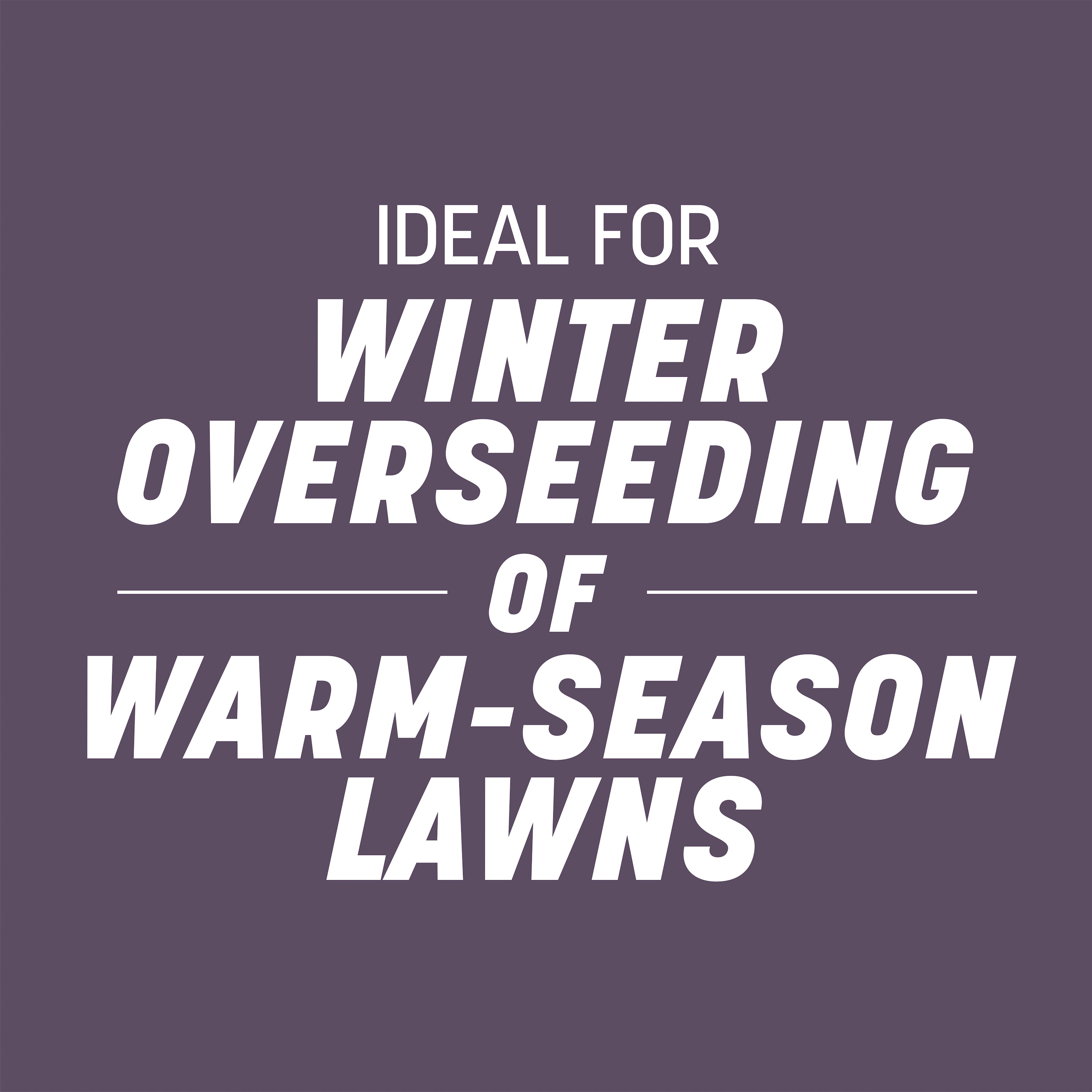 Pennington 184115 Grass-Seed - View #7