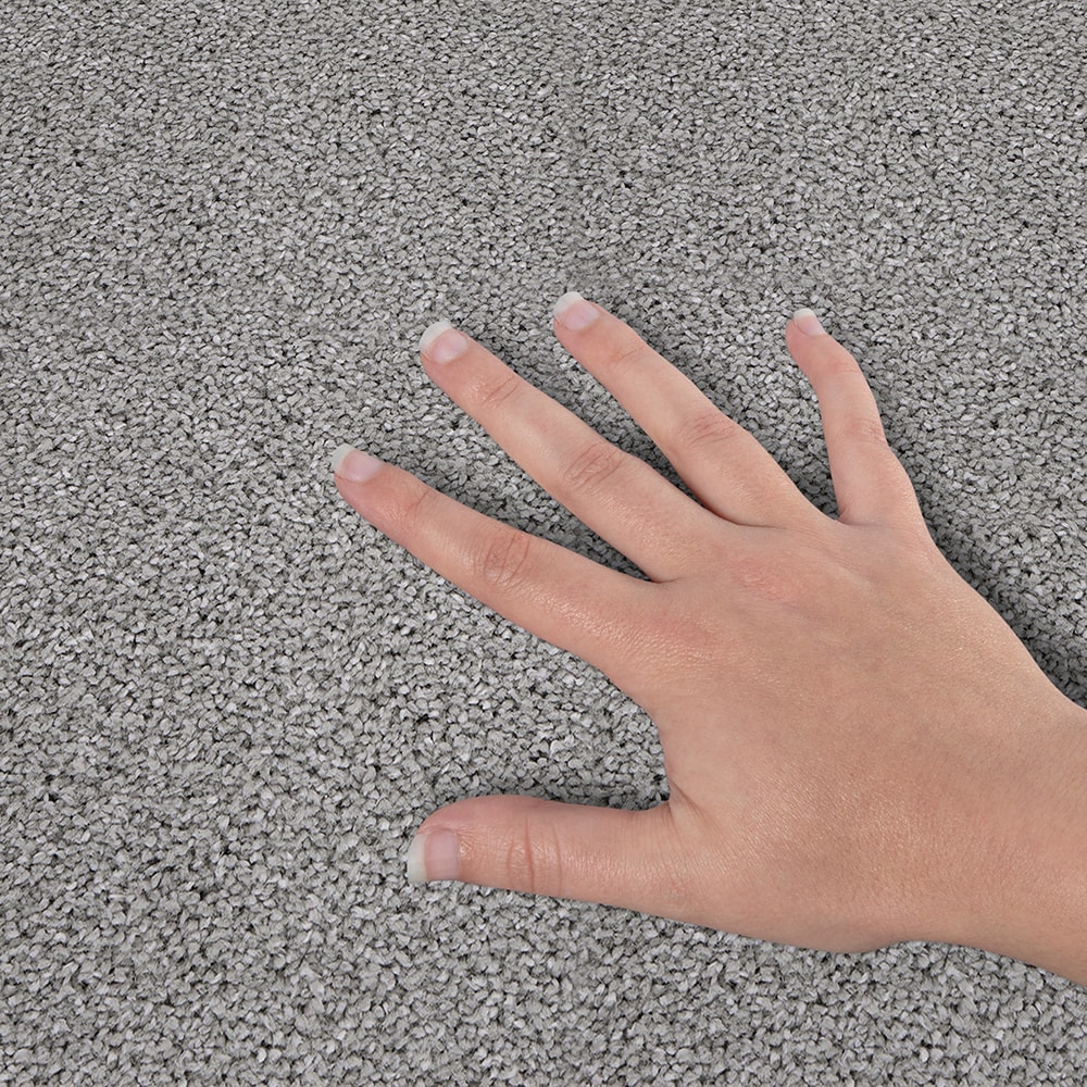 STAINMASTER STP58-L003-0808 Carpet-Samples - View #4