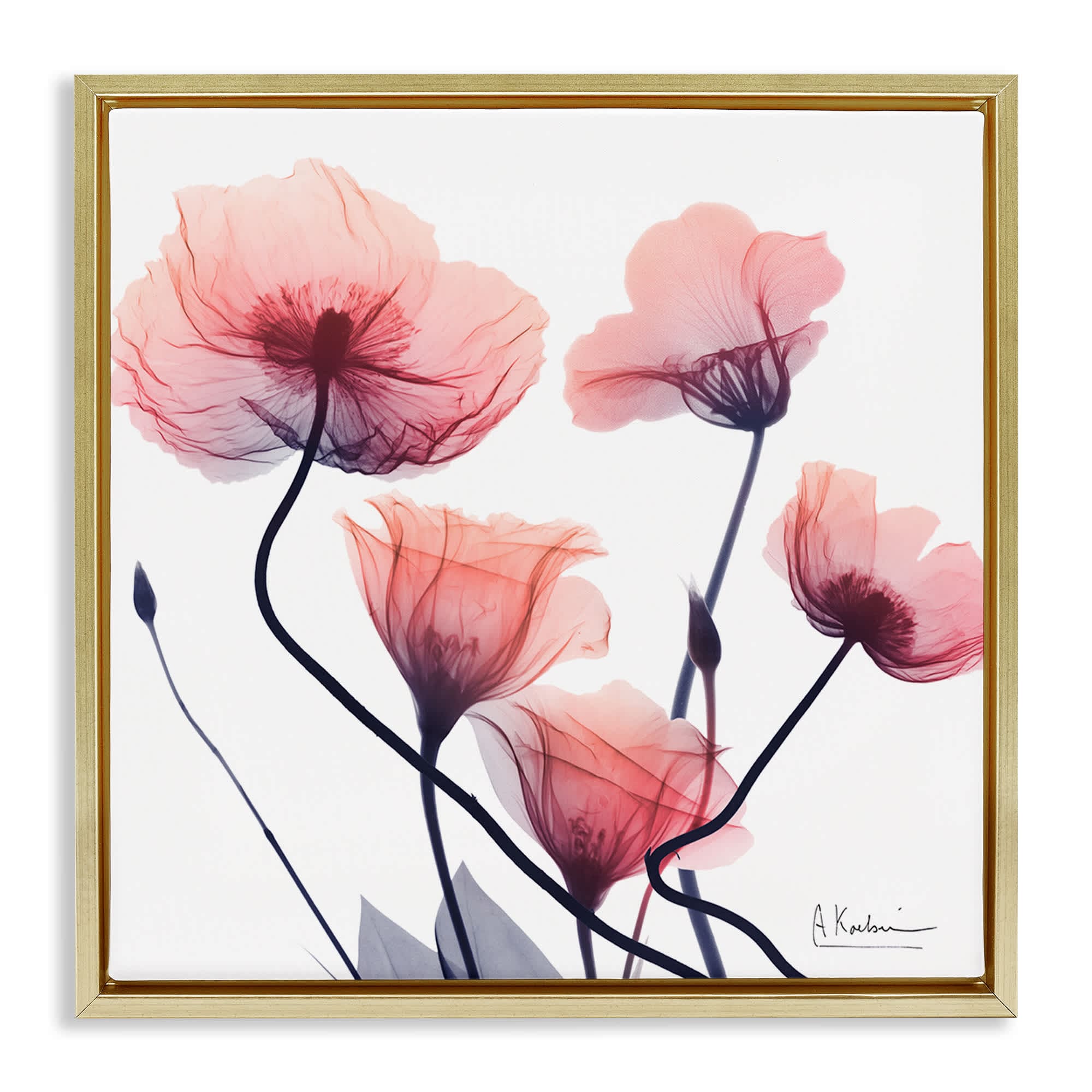 Stupell Industries BS-027-FFG-24X24 Pink Chic Simple Flowers Gold Framed Floater Canvas Wall Art By Albert Koetsier 25 x 25