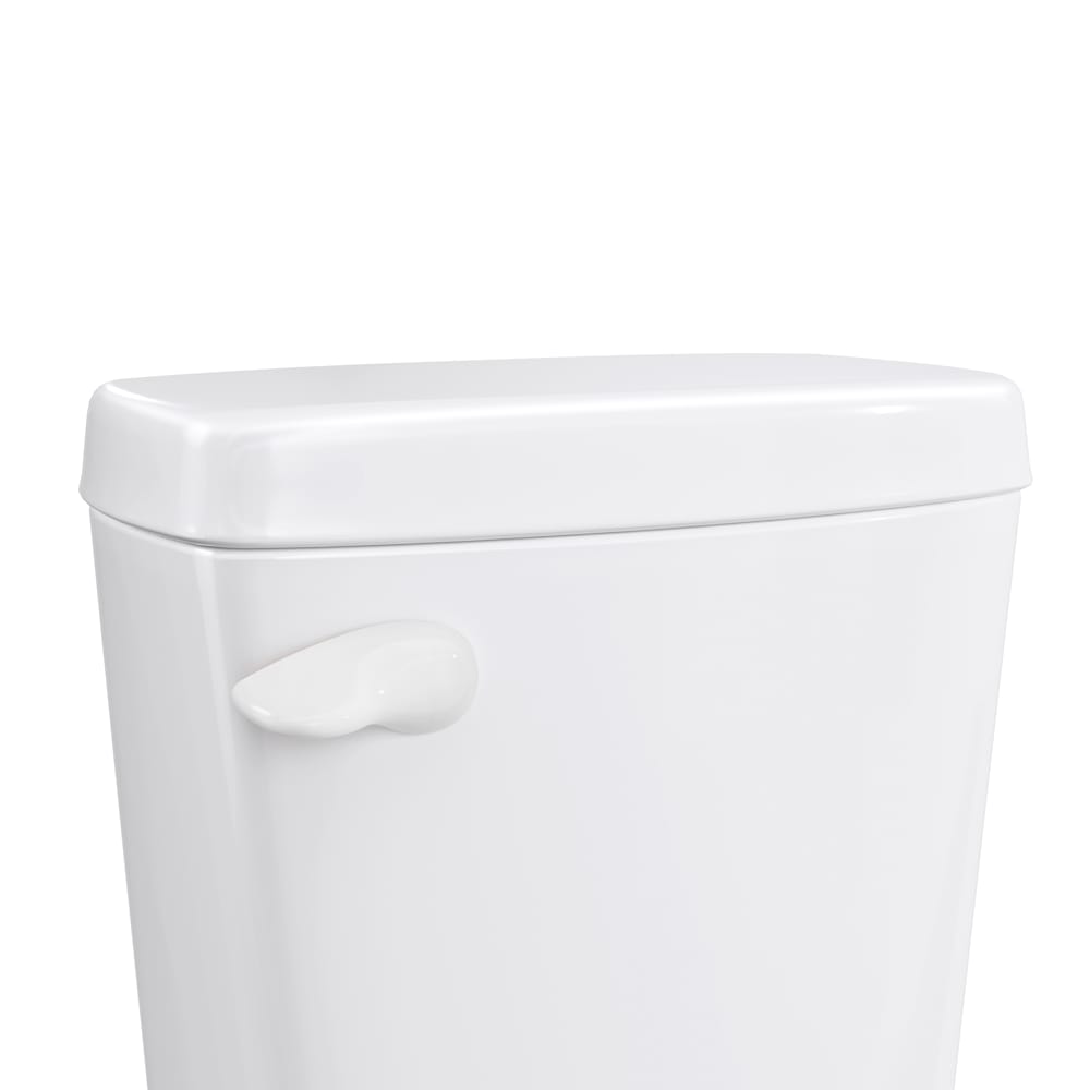 Jones Stephens T01421 Flush-Lever - View #4
