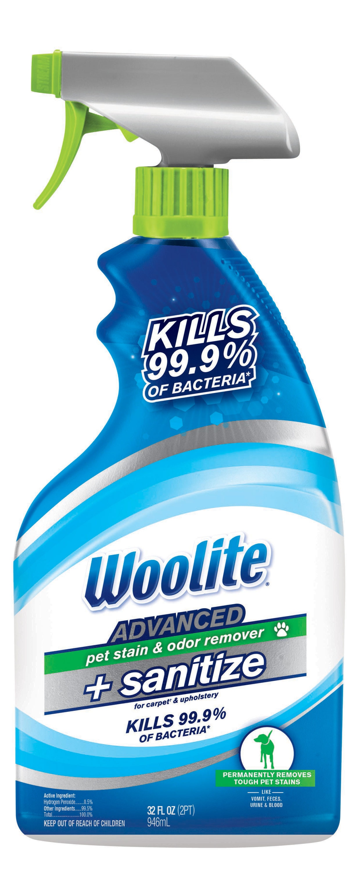 Woolite Advanced Pet Oxy Stain & Odor Remover Spray - Shop Carpet &  Upholstery Cleaners at H-E-B
