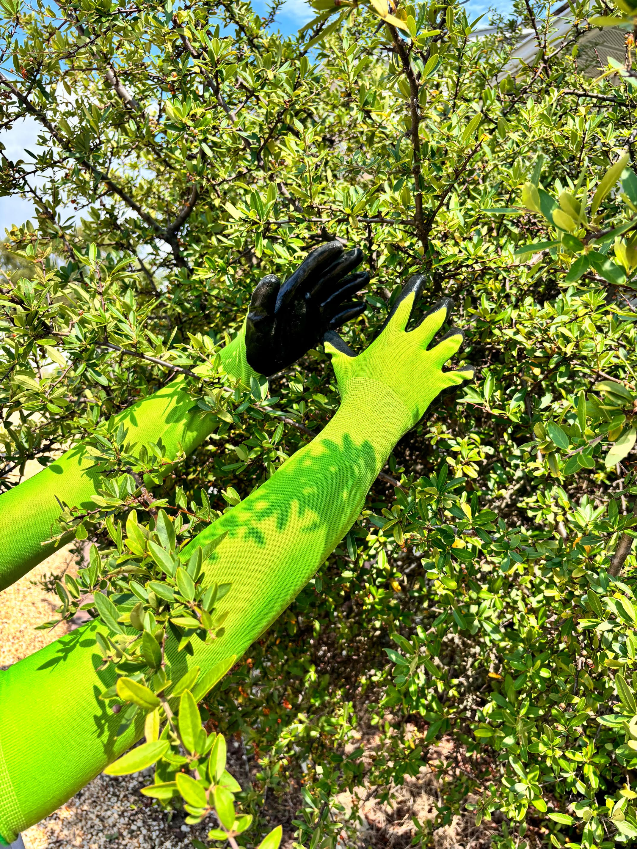 CHARGUY 7 Work-Gloves - View #17