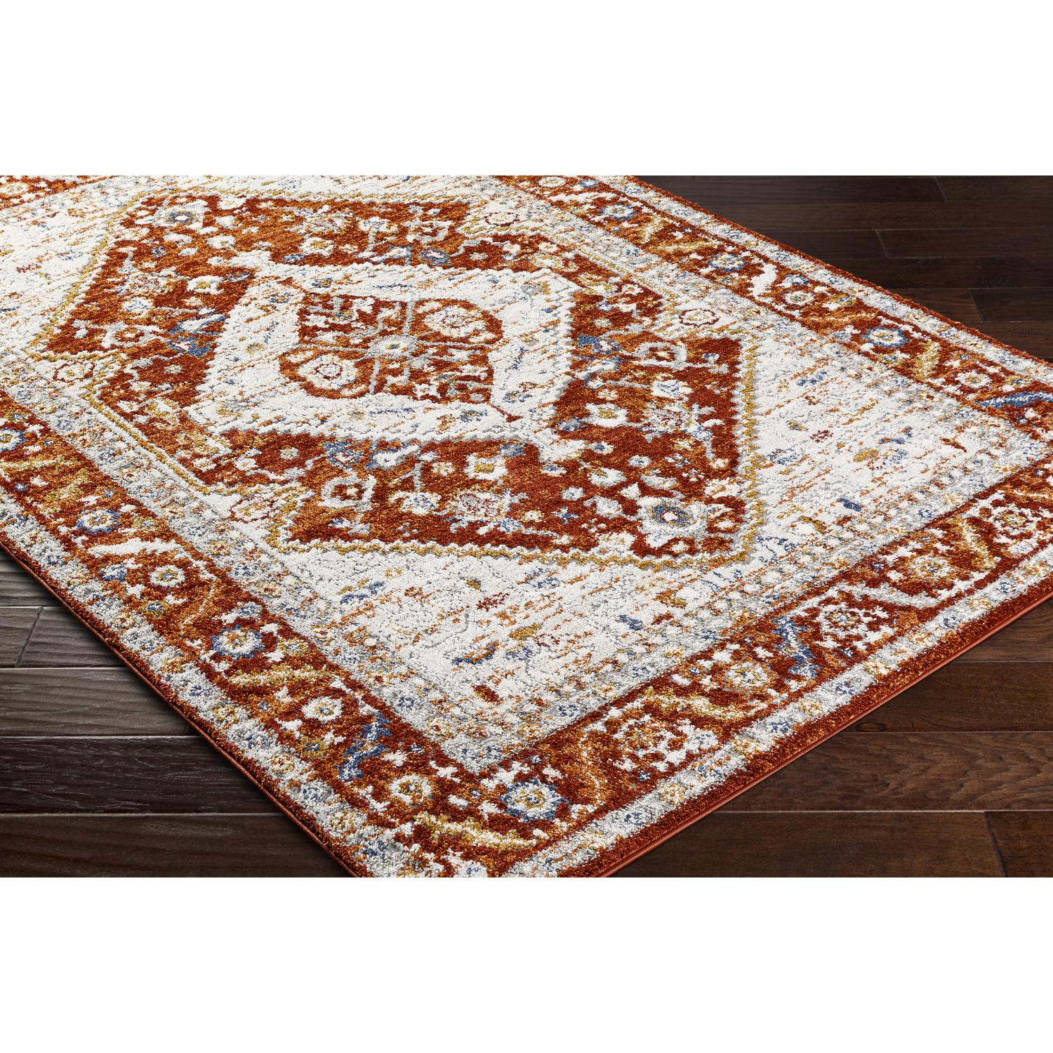 Livabliss LBE2302-71010 rugs - View #4