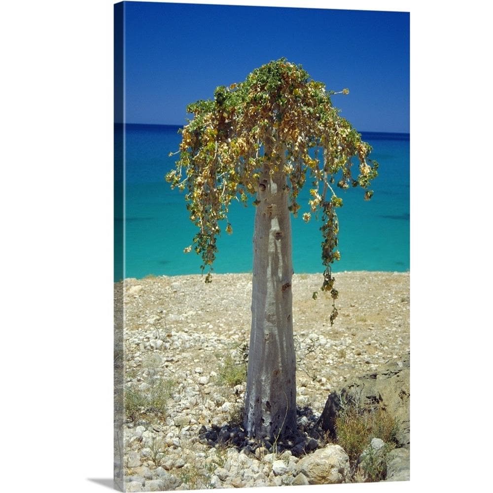 GreatBigCanvas 1134672-24-24X36 36-in H x 24-in W Abstract Print on Canvas