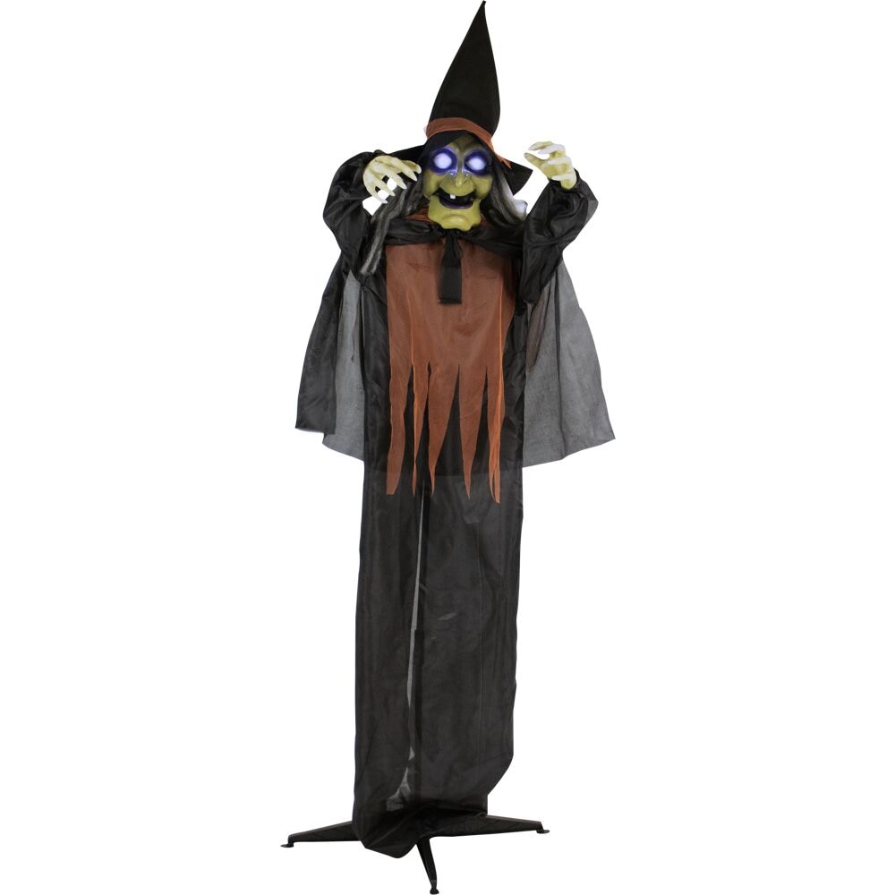 Haunted Hill Farm HHWITCH-15FLS Halloween-Animatronics - View #13