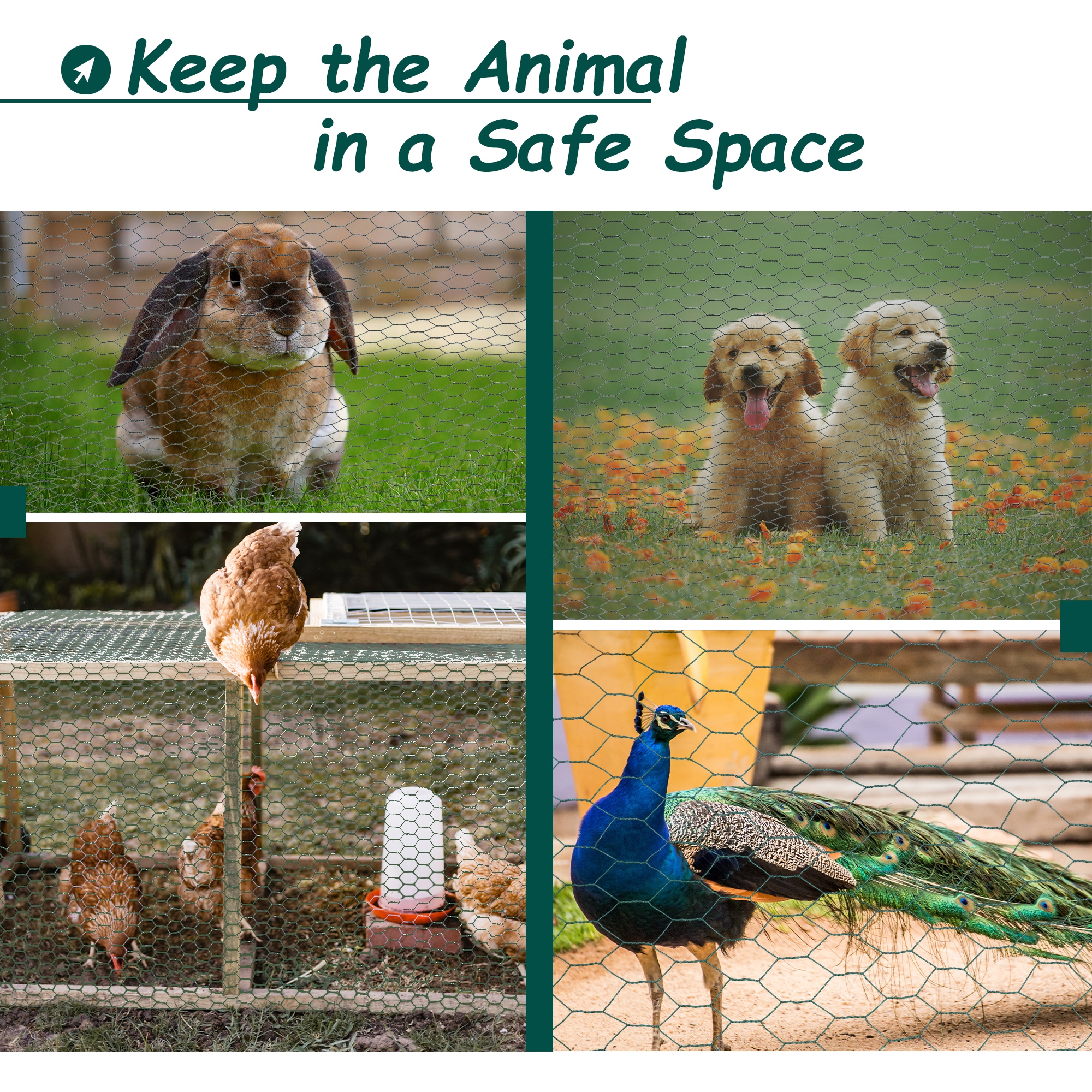 Kahomvis SMP-QPW1-634 Chicken-Coops-Rabbit-Hutches - View #3