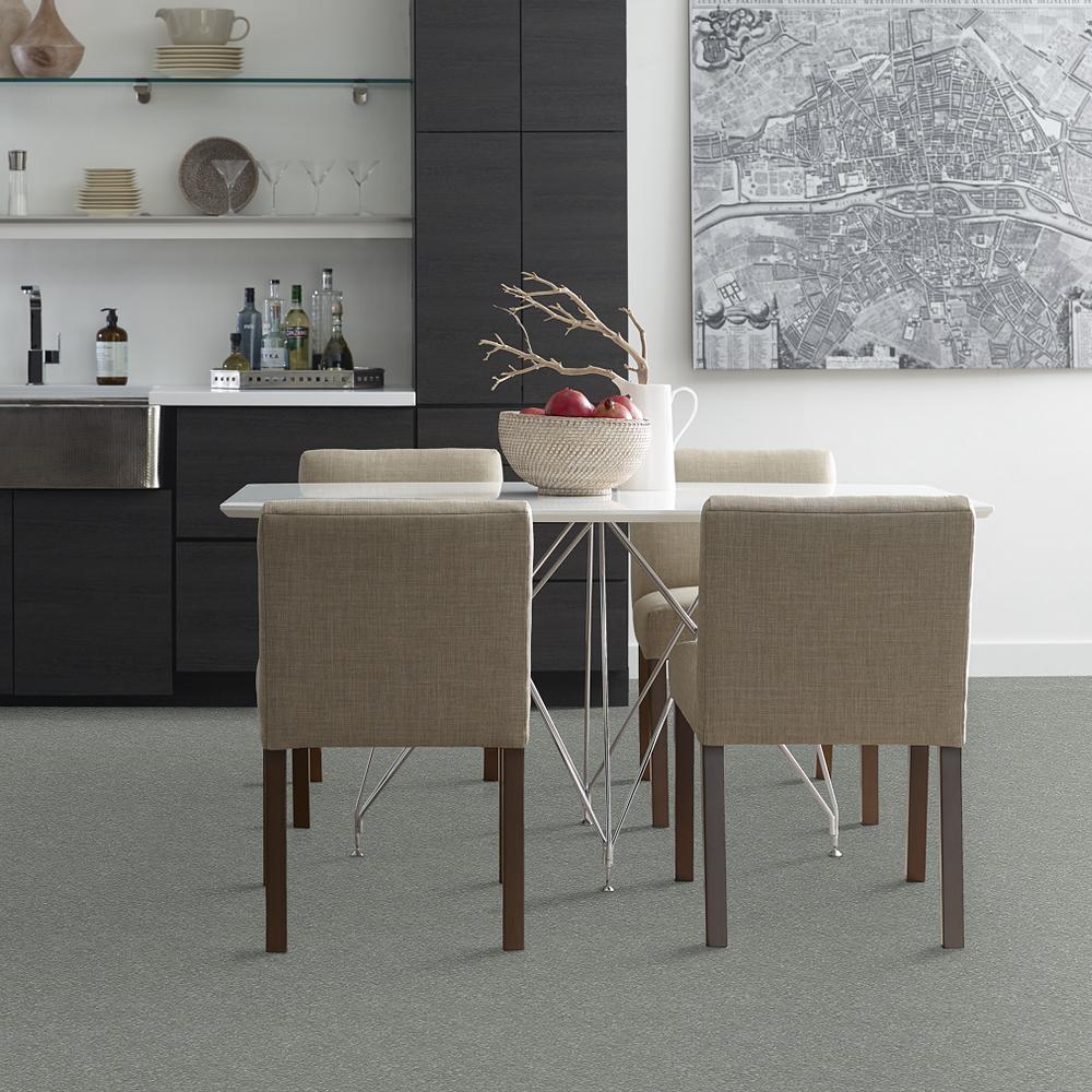 STAINMASTER 7L52600110 Carpet-Panel - View #3