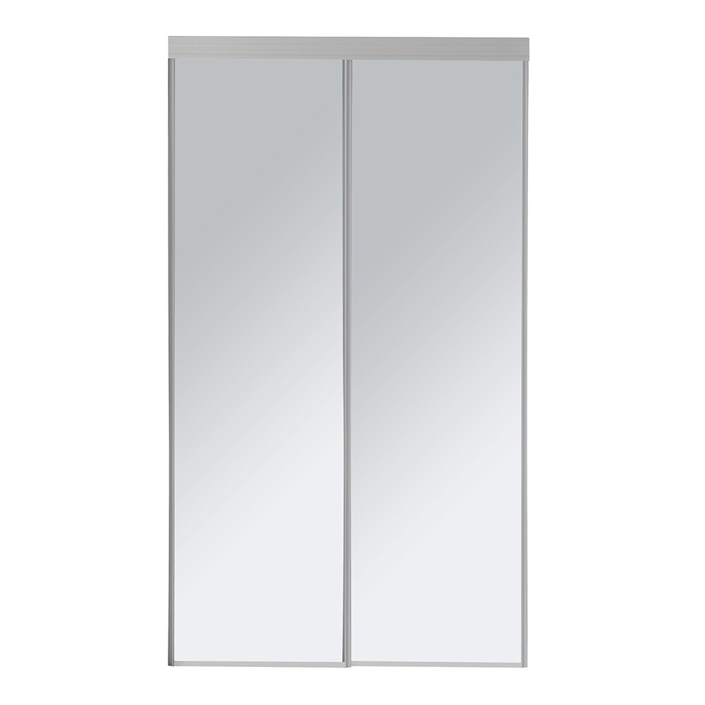 Renin Sliding Closet door 60 in x 80 1/2 in Steel Frame Artic Silver ...