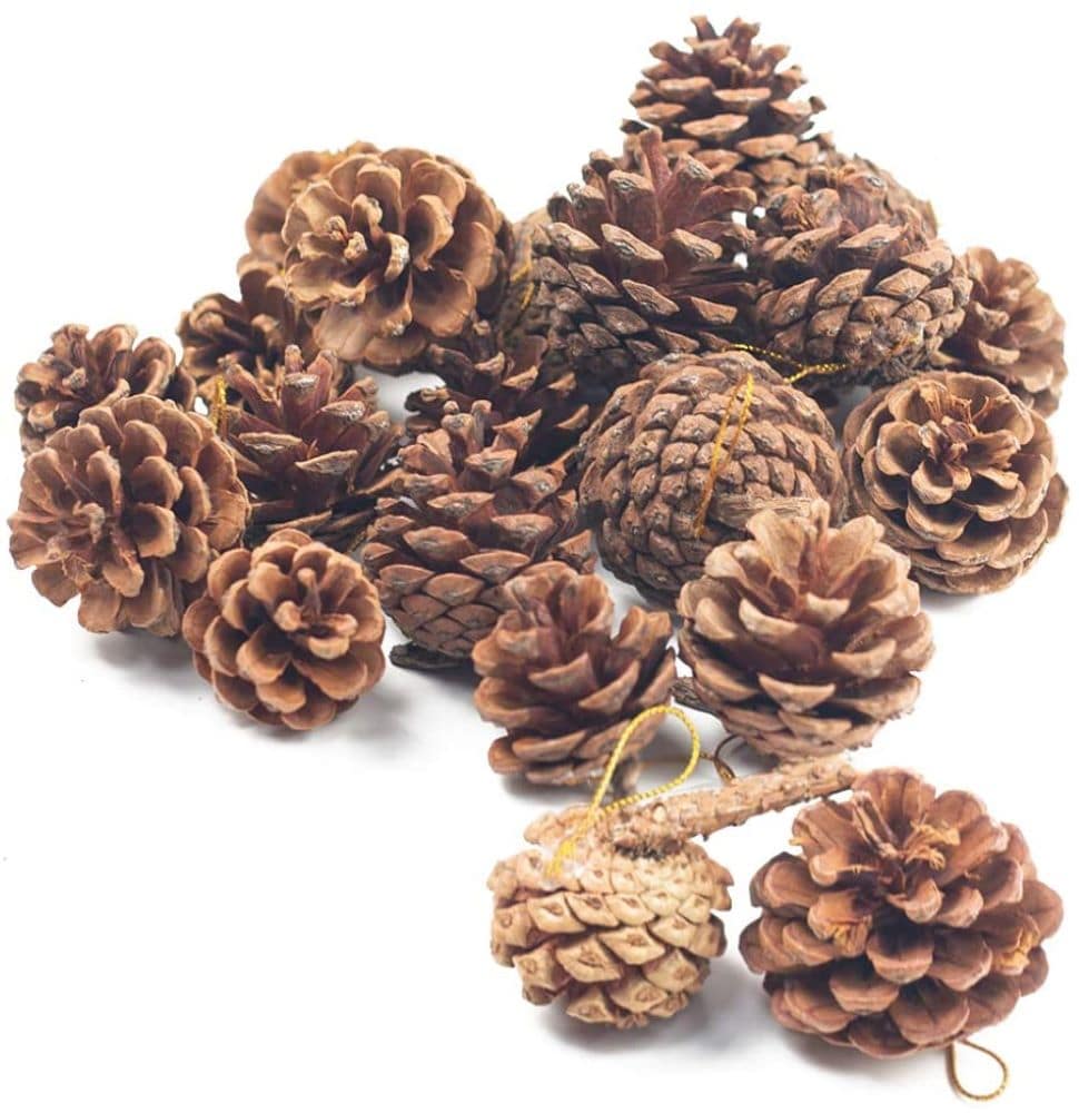 FREE SHIPPING! Christmas Planters Pine Cone Pics Ornaments and LOTS More 