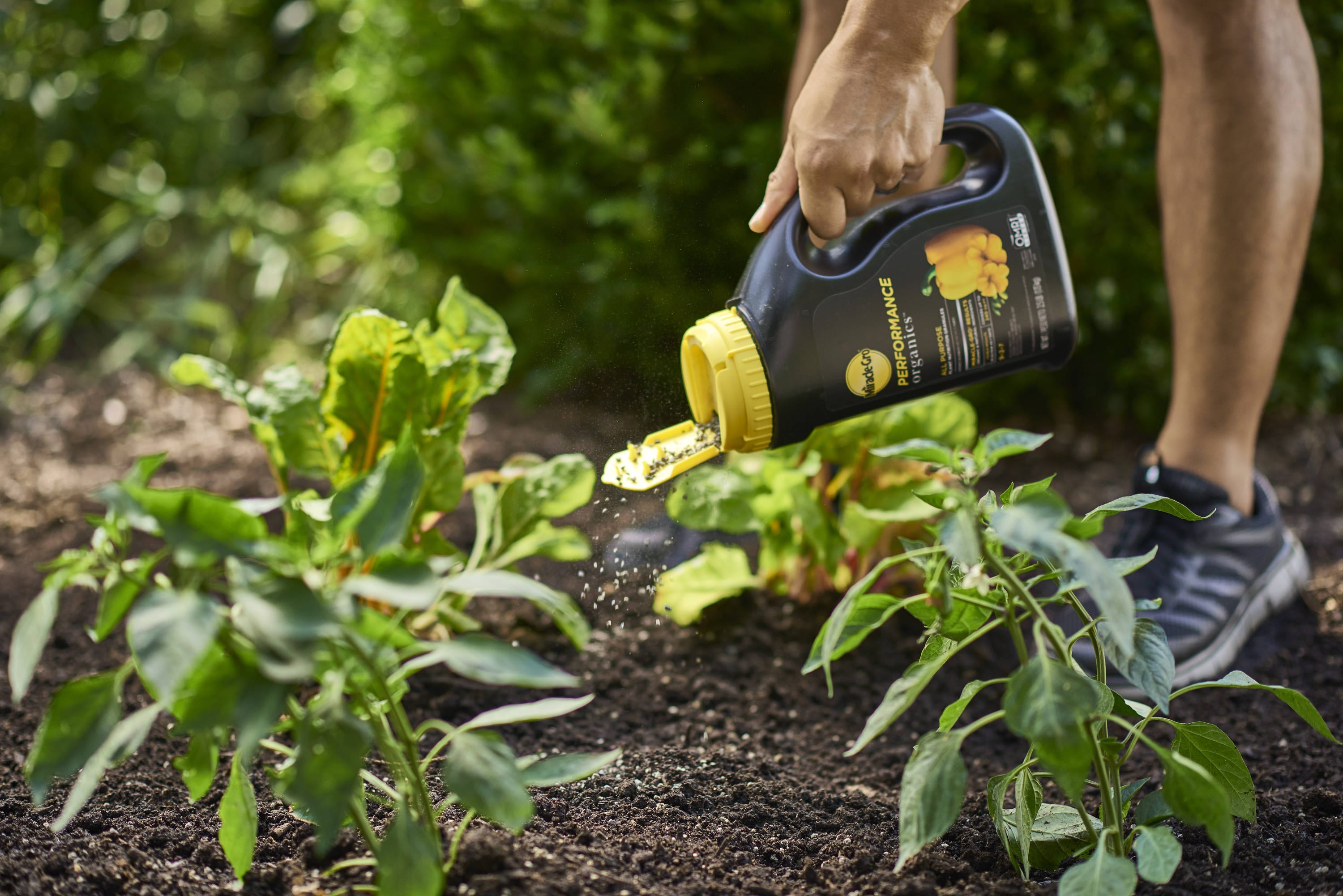 Miracle-Gro 3003530 Plant-Food - View #5