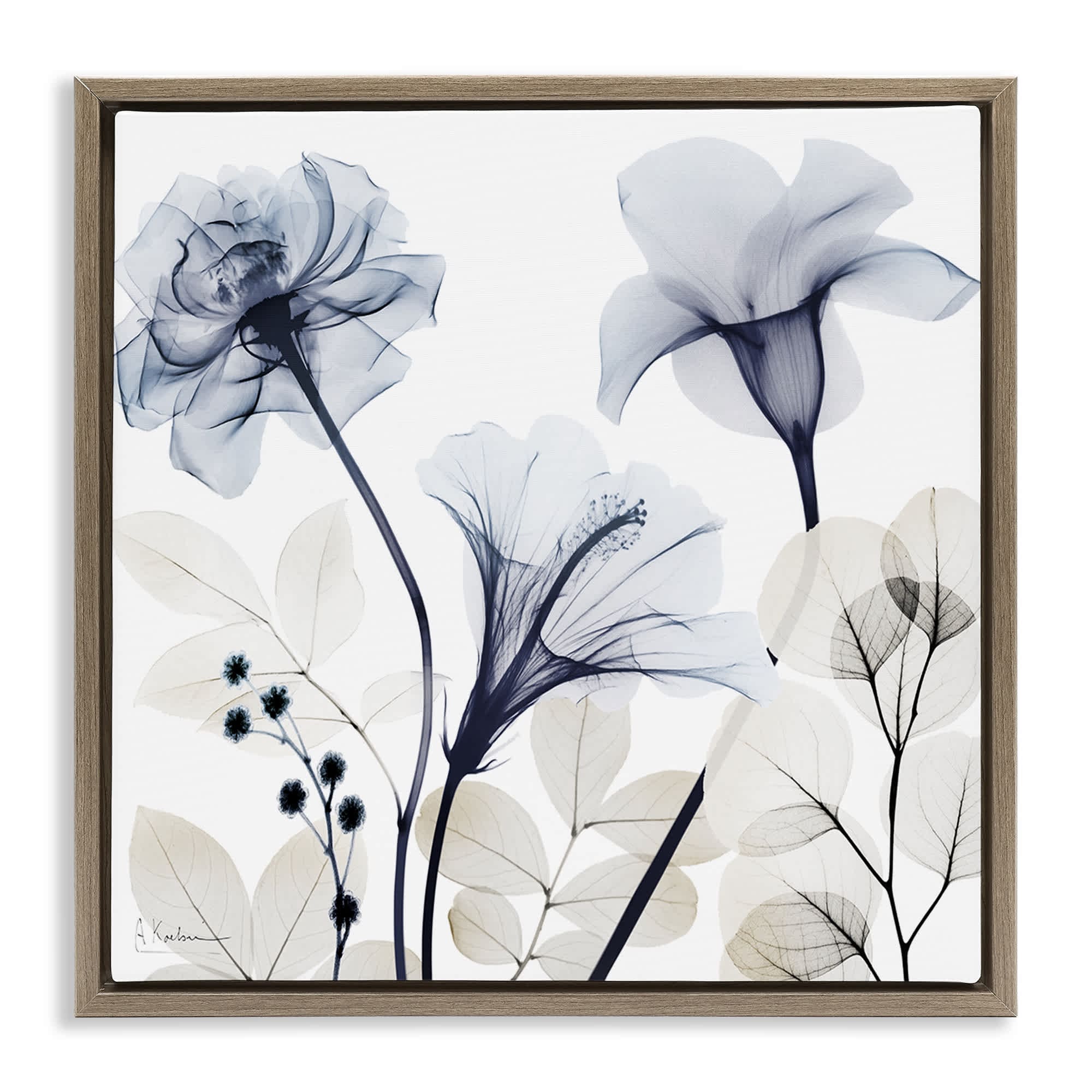 Stupell Industries BS-018-FFE-24X24 Sophisticated Minimal Flowers Brown Framed Floater Canvas Wall Art By Albert Koetsier 25 x 25